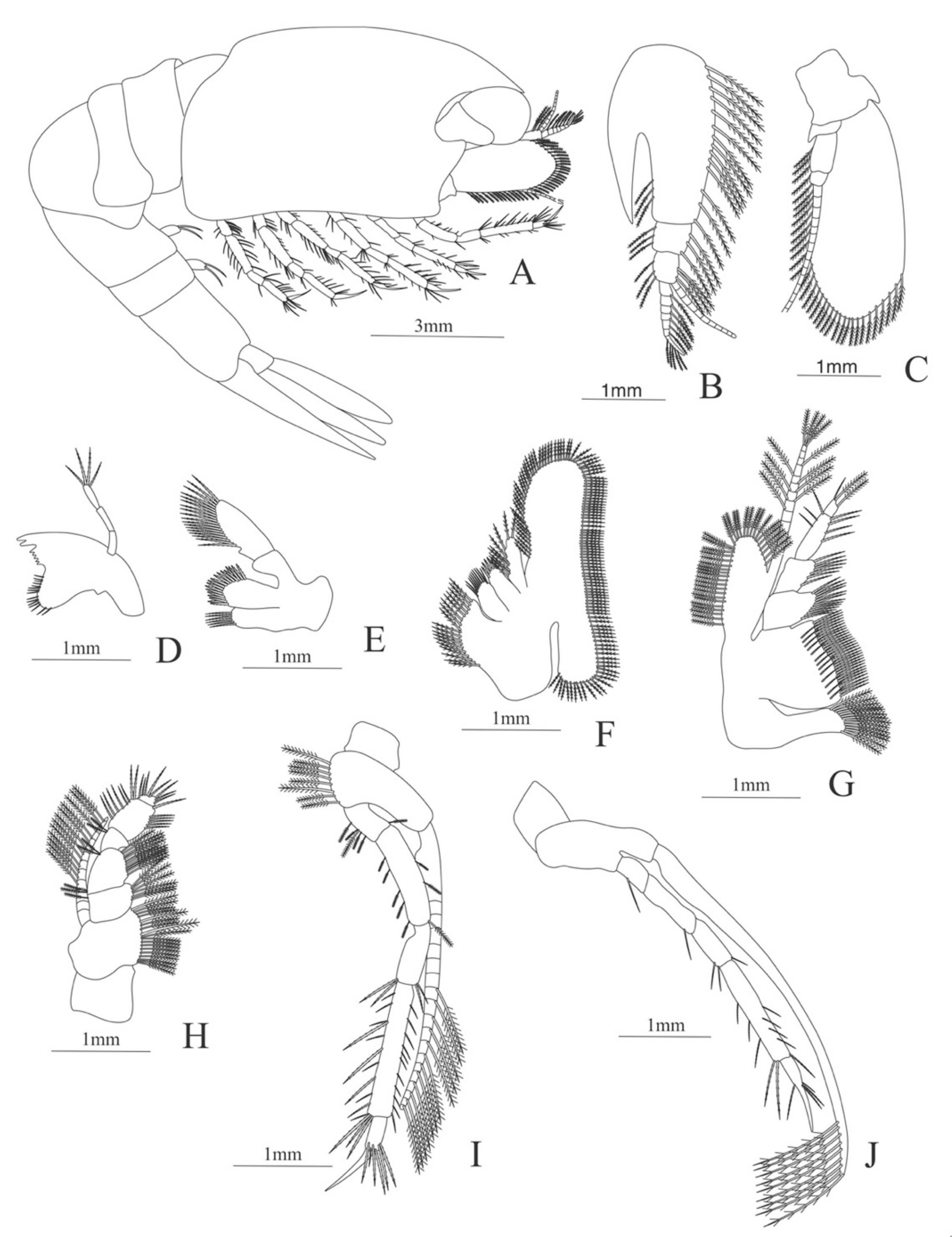 Diversity 13 00457 g010