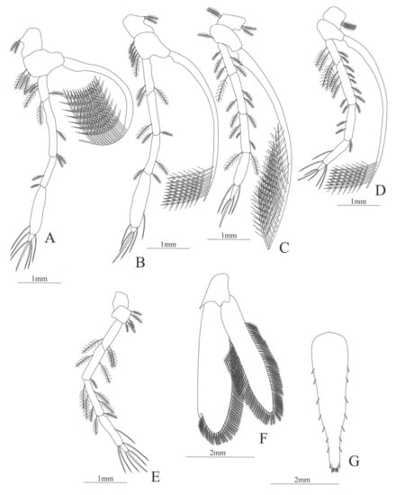 Diversity 13 00457 g013