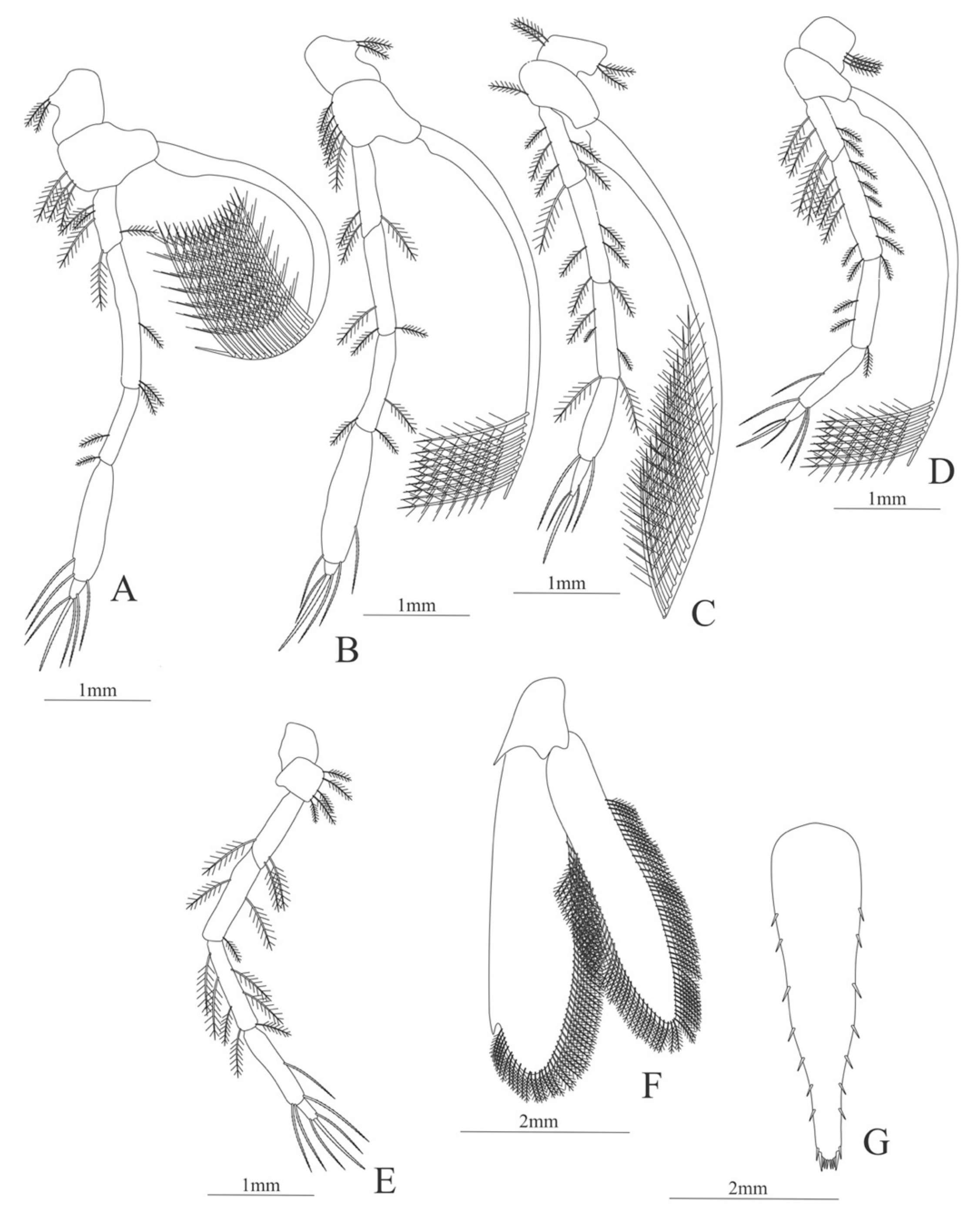 Diversity 13 00457 g013
