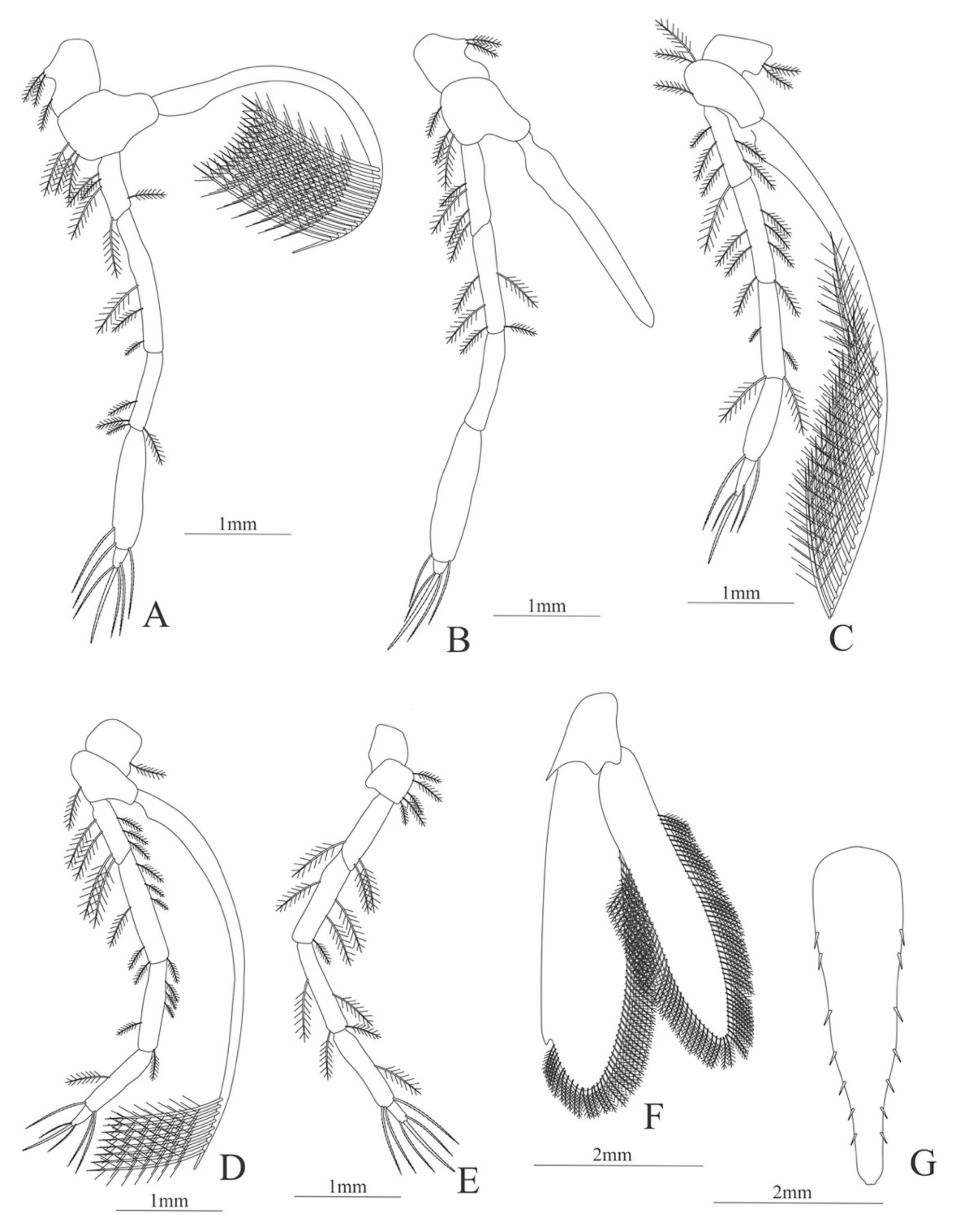 Diversity 13 00457 g015