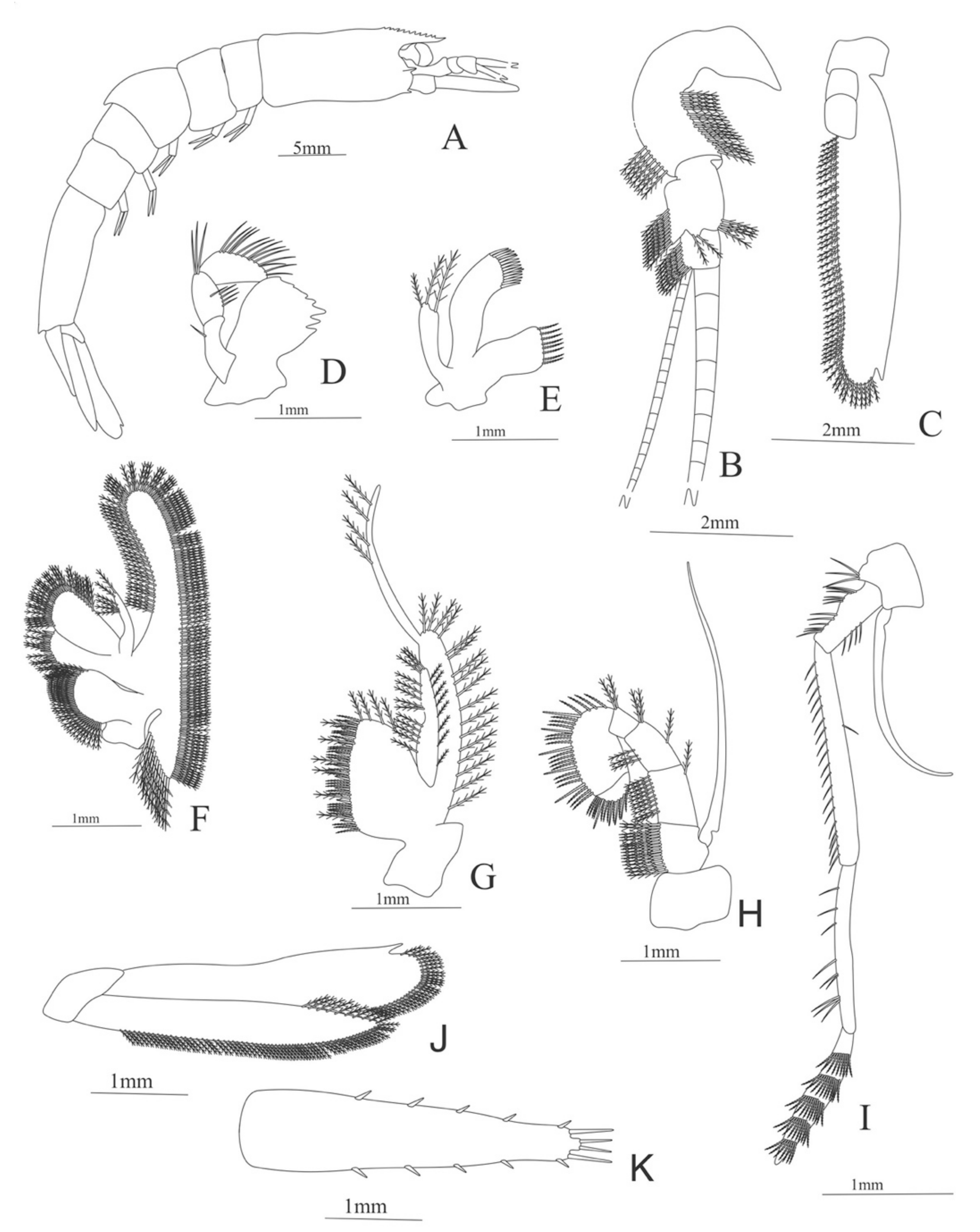 Diversity 13 00457 g016