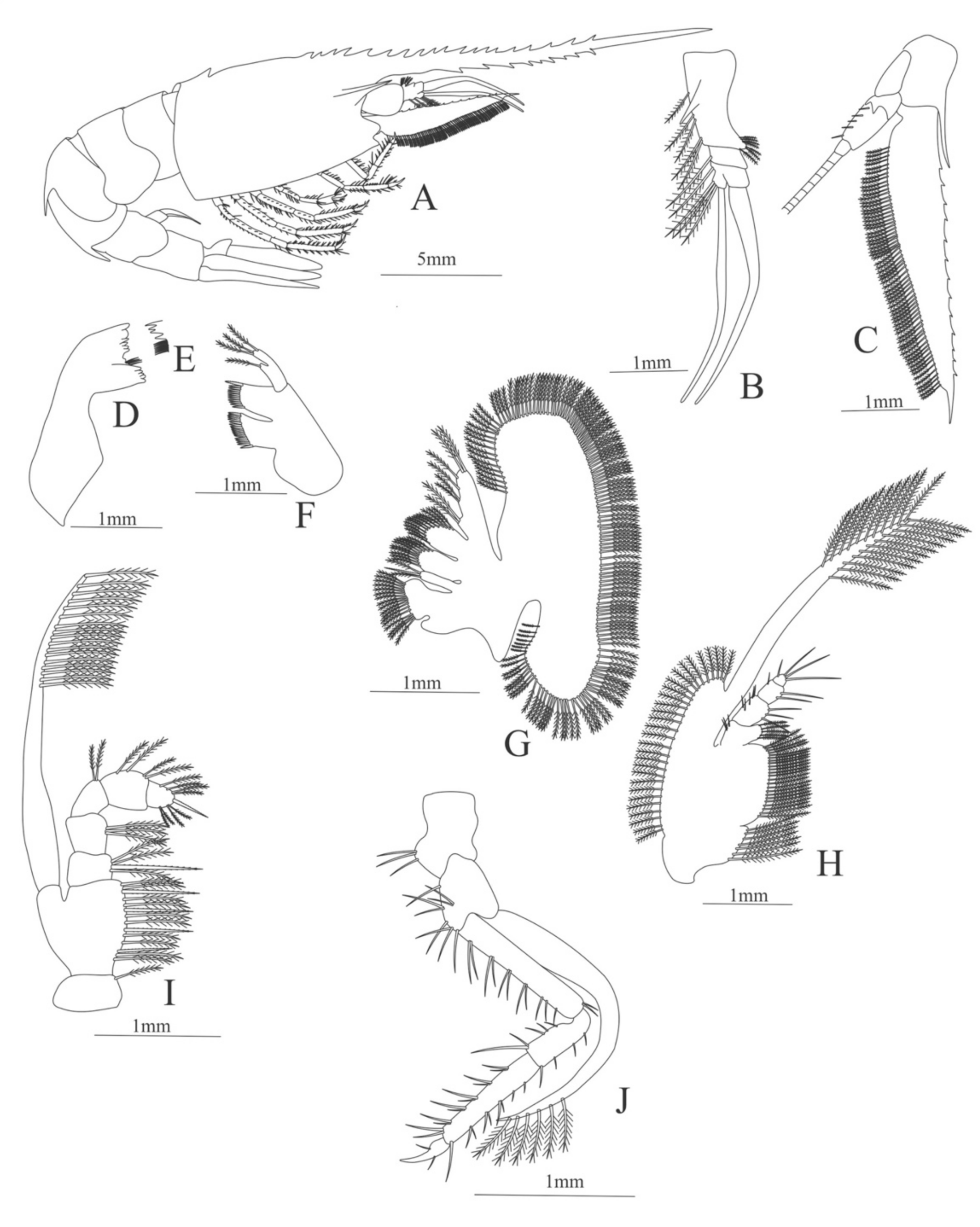 Diversity 13 00457 g019
