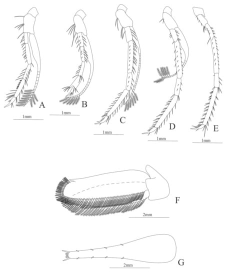 Diversity 13 00457 g020