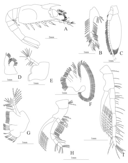Diversity 13 00457 g025