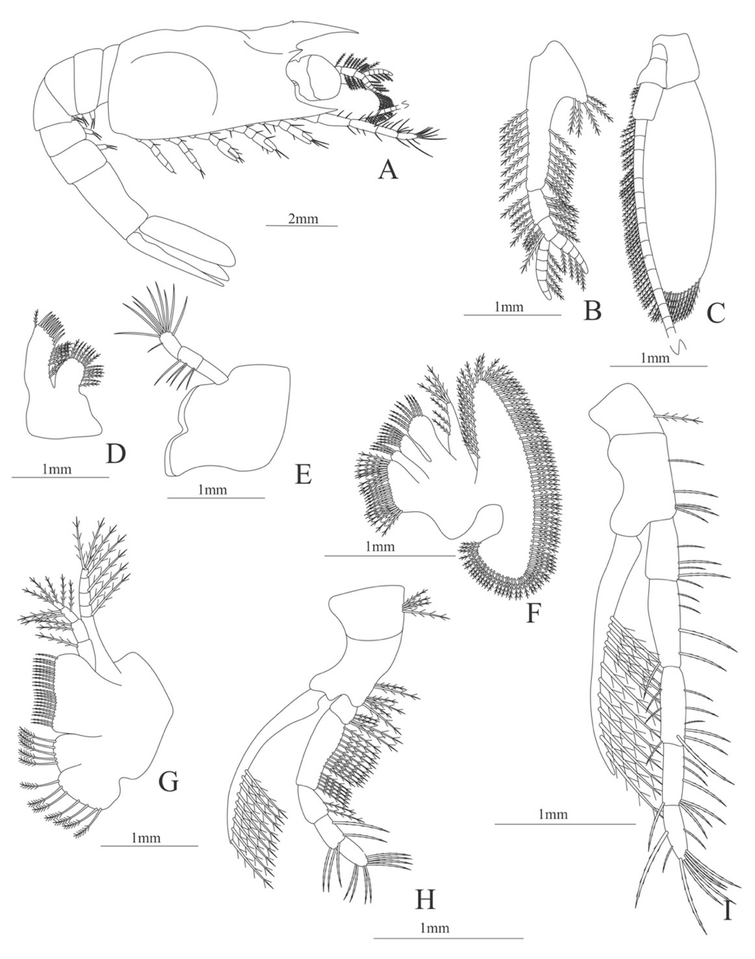 Diversity 13 00457 g025
