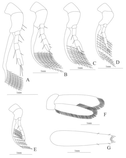 Diversity 13 00457 g026