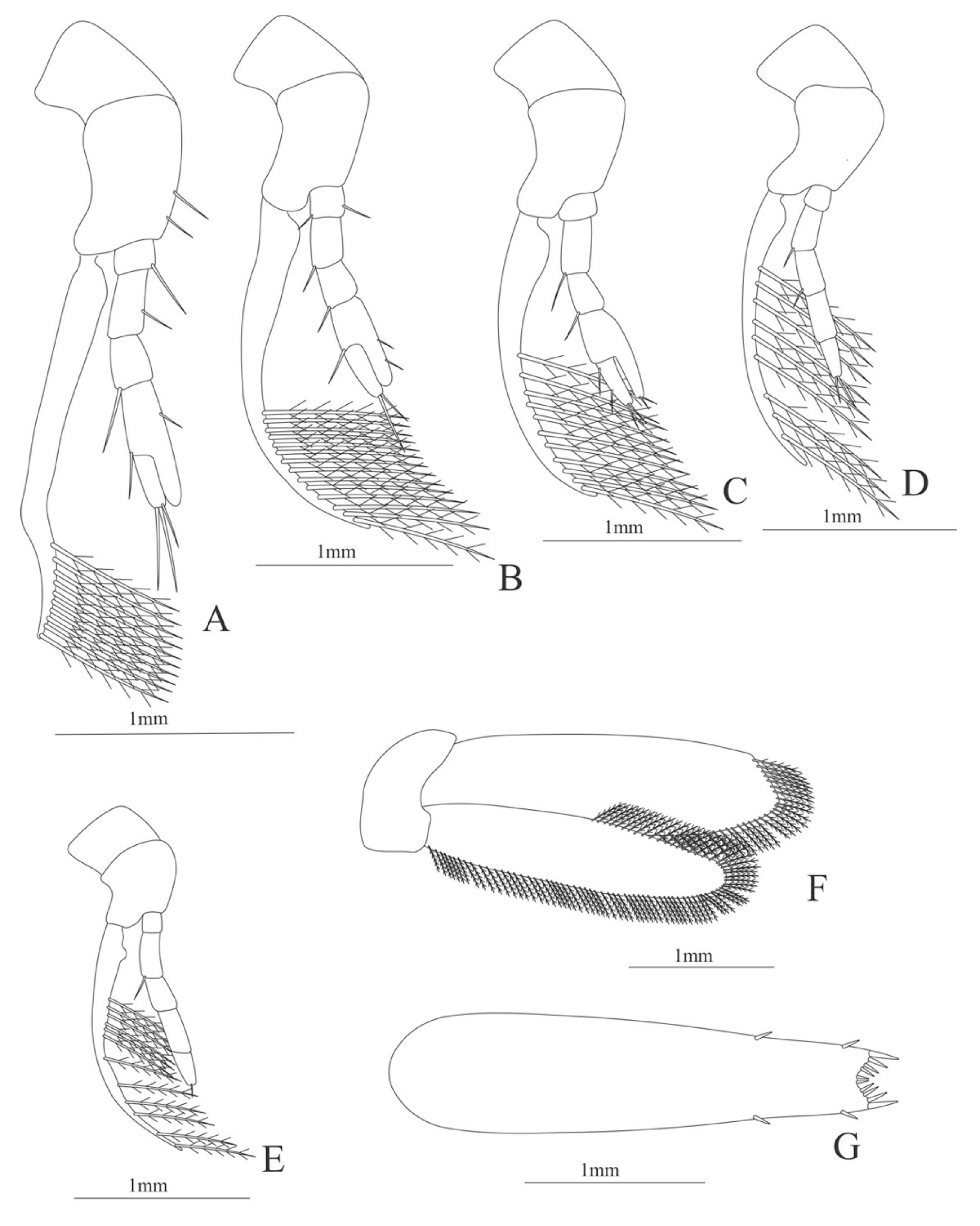 Diversity 13 00457 g026