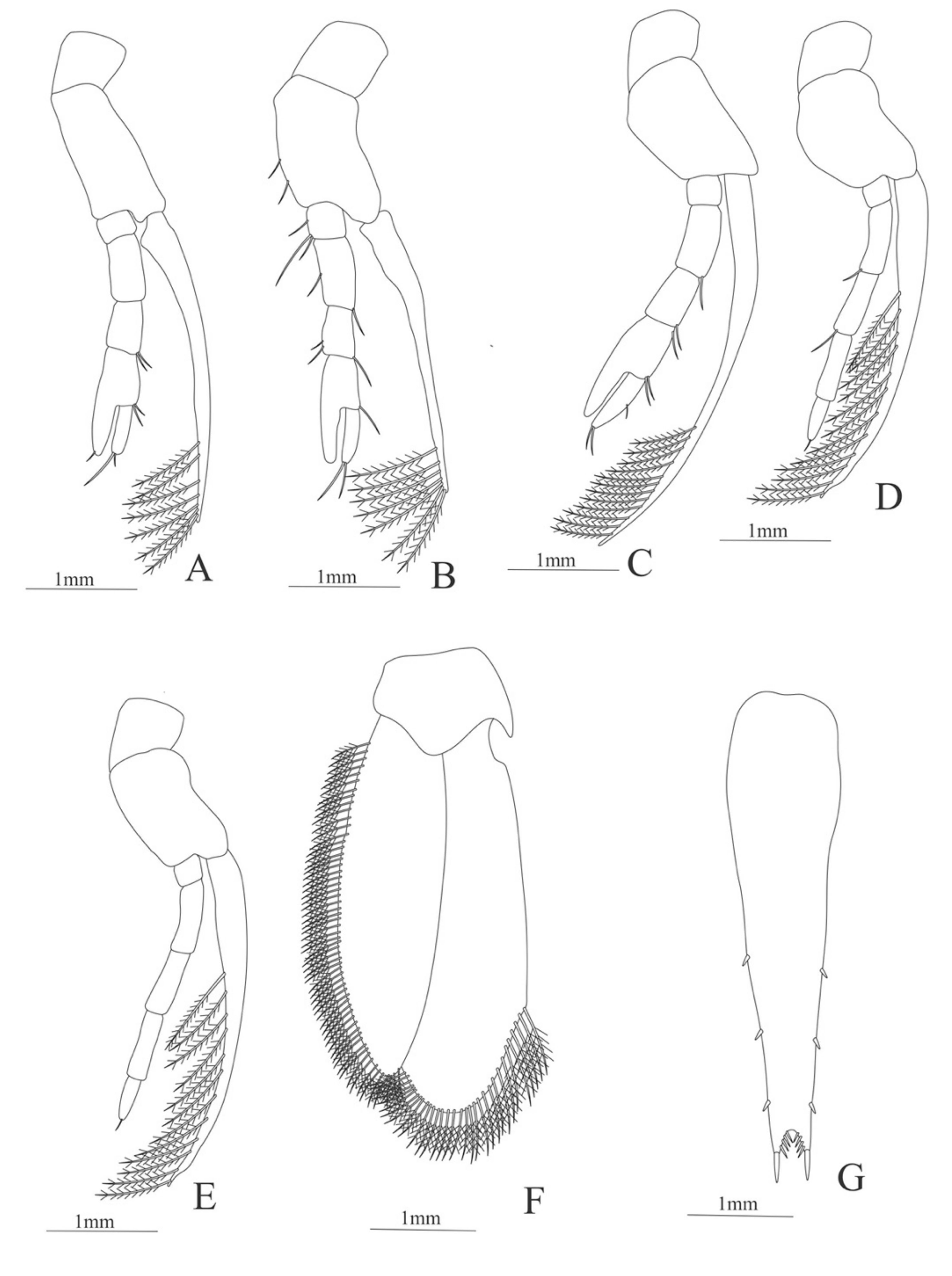 Diversity 13 00457 g028