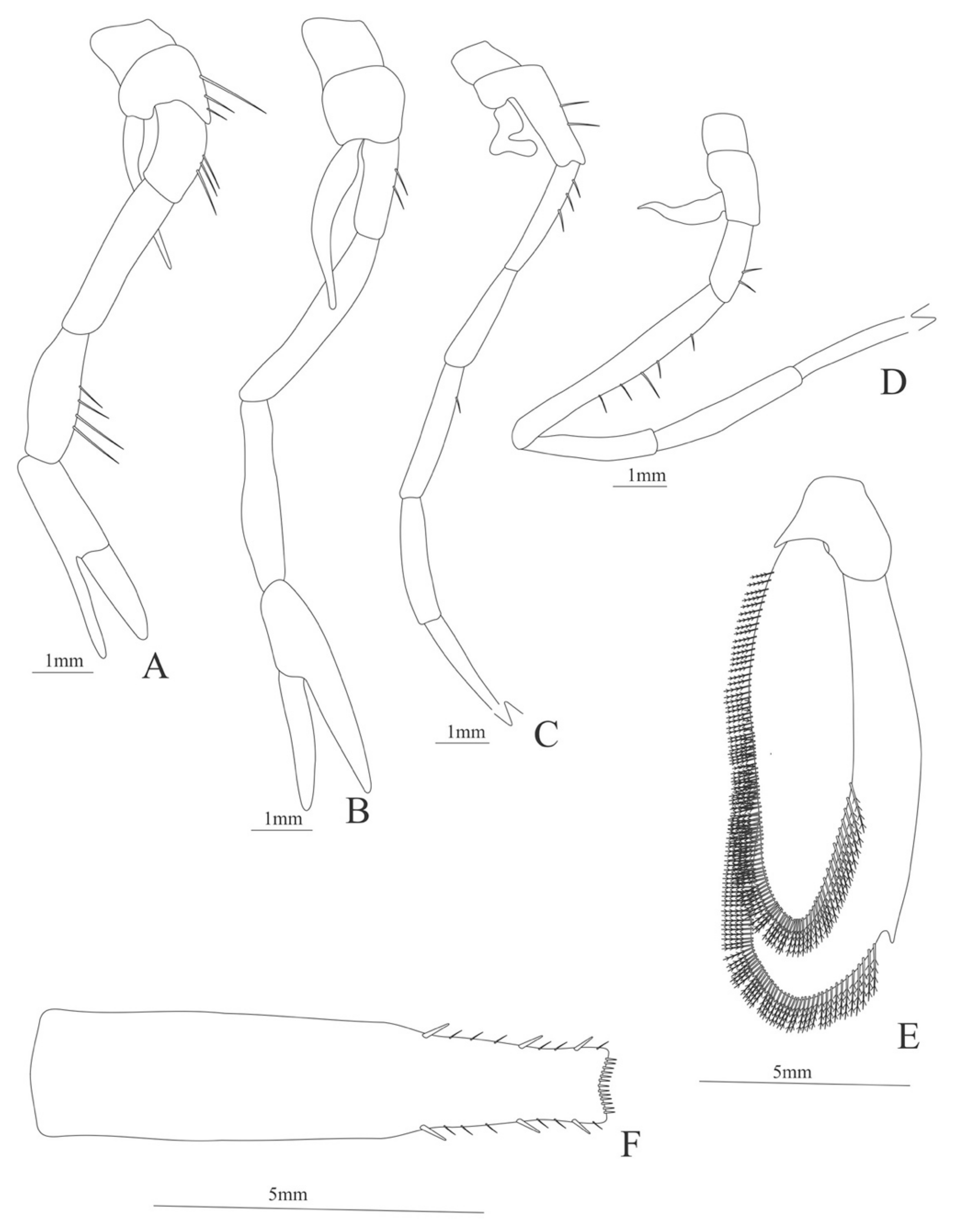 Diversity 13 00457 g030