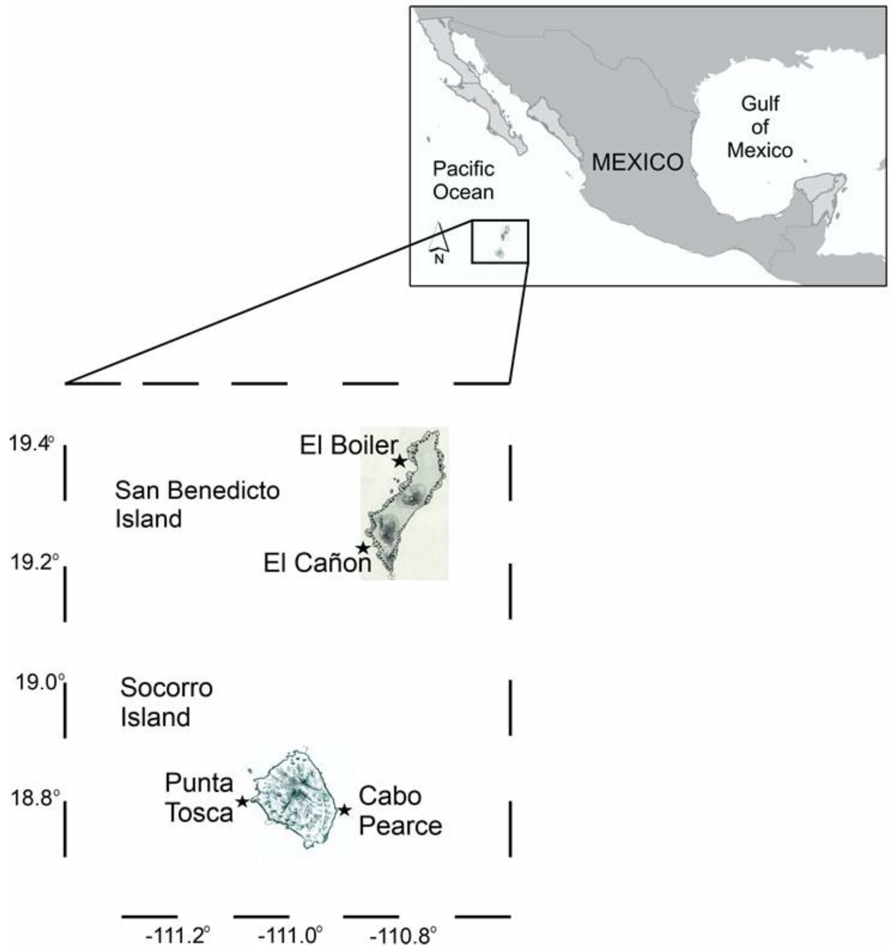 Diversity 13 00458 g001