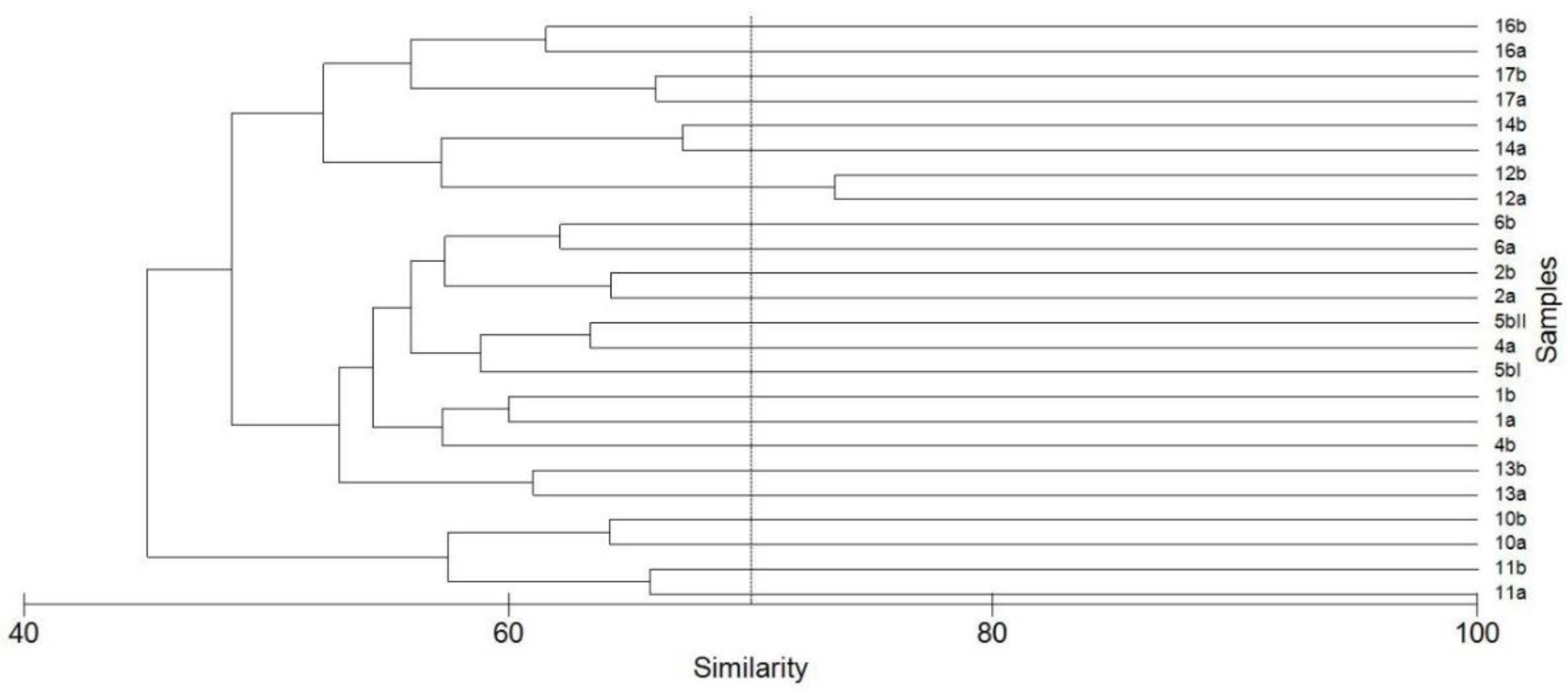 Diversity 13 00458 g036