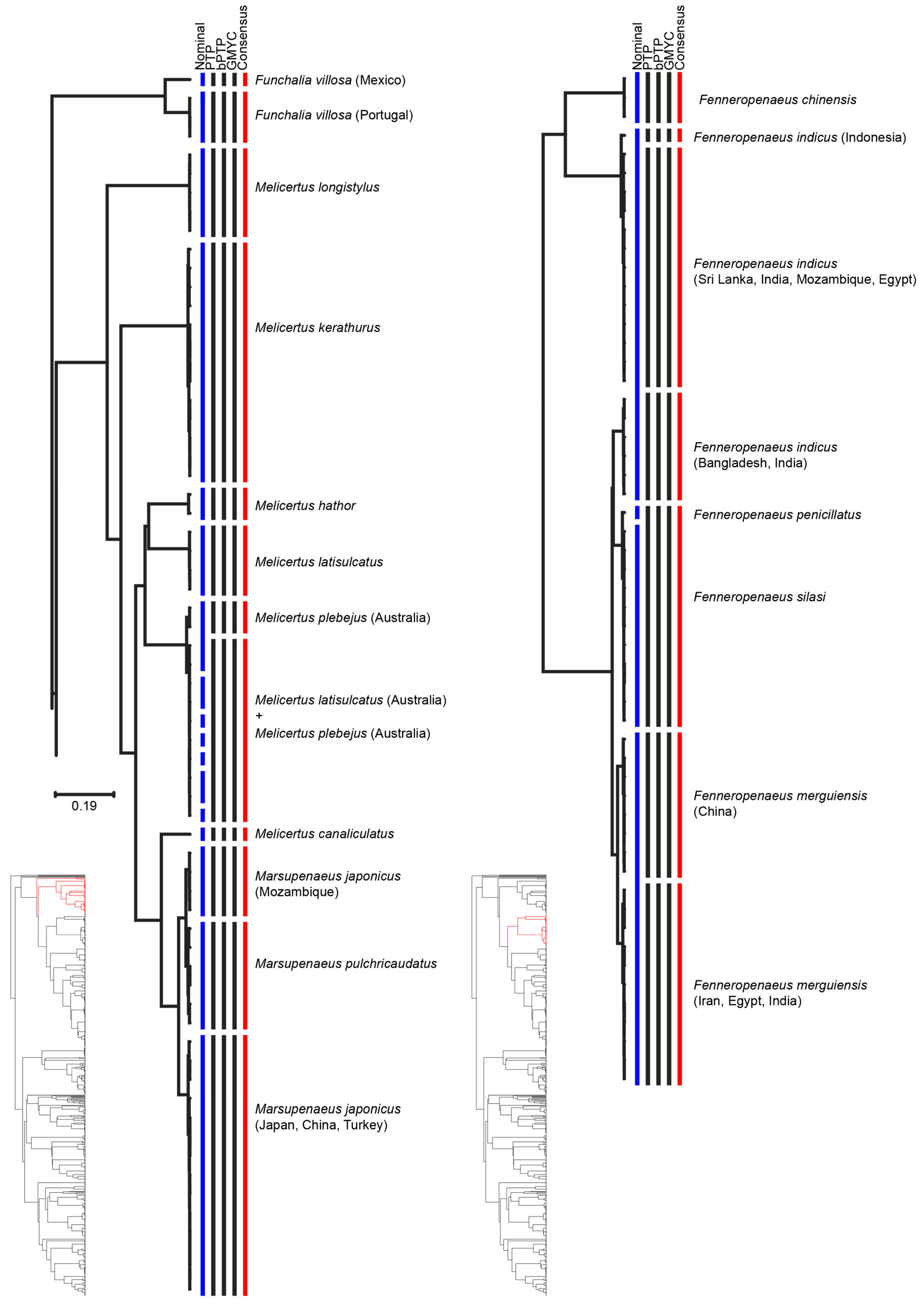 Diversity 13 00460 g001