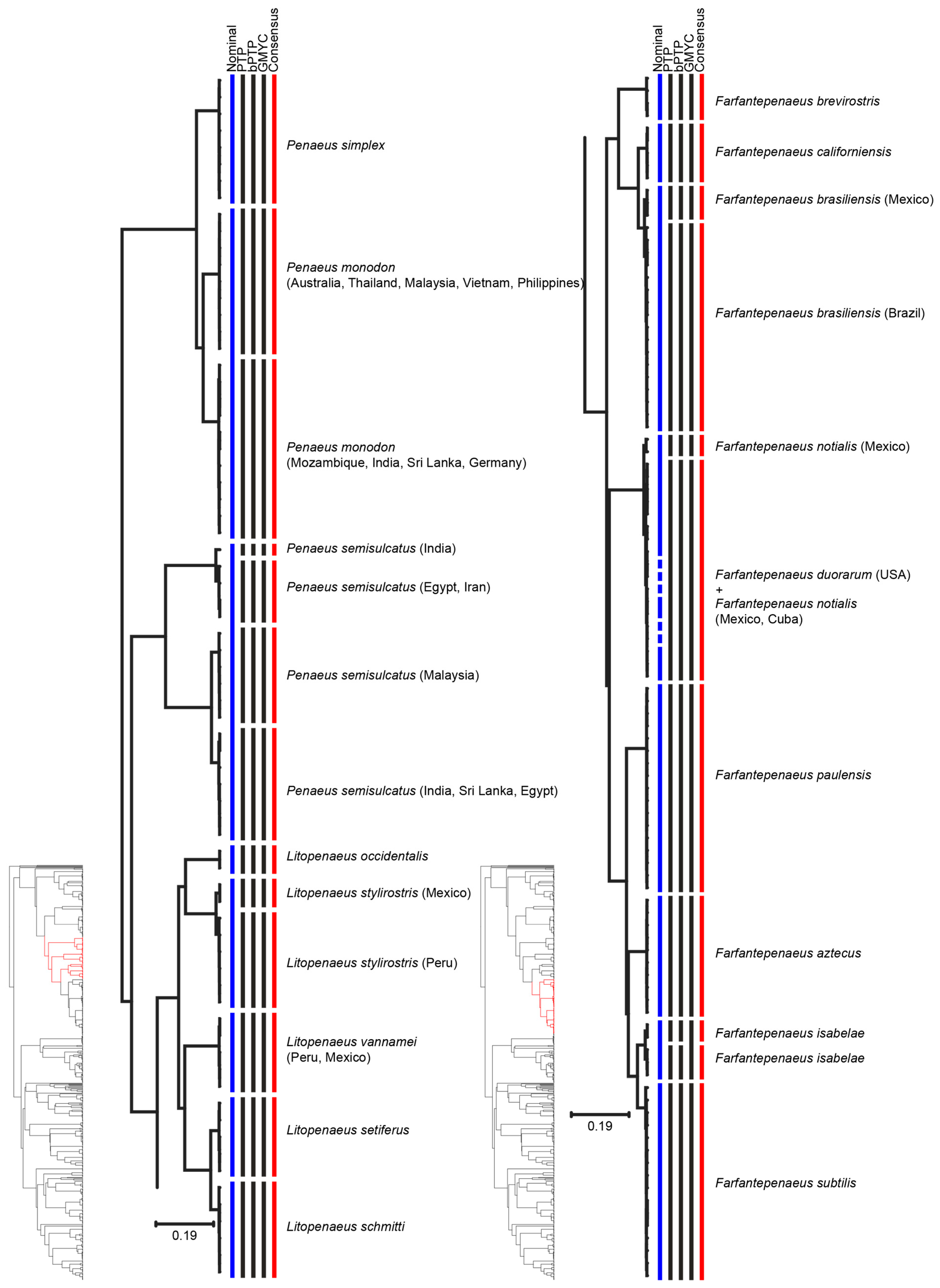 Diversity 13 00460 g002