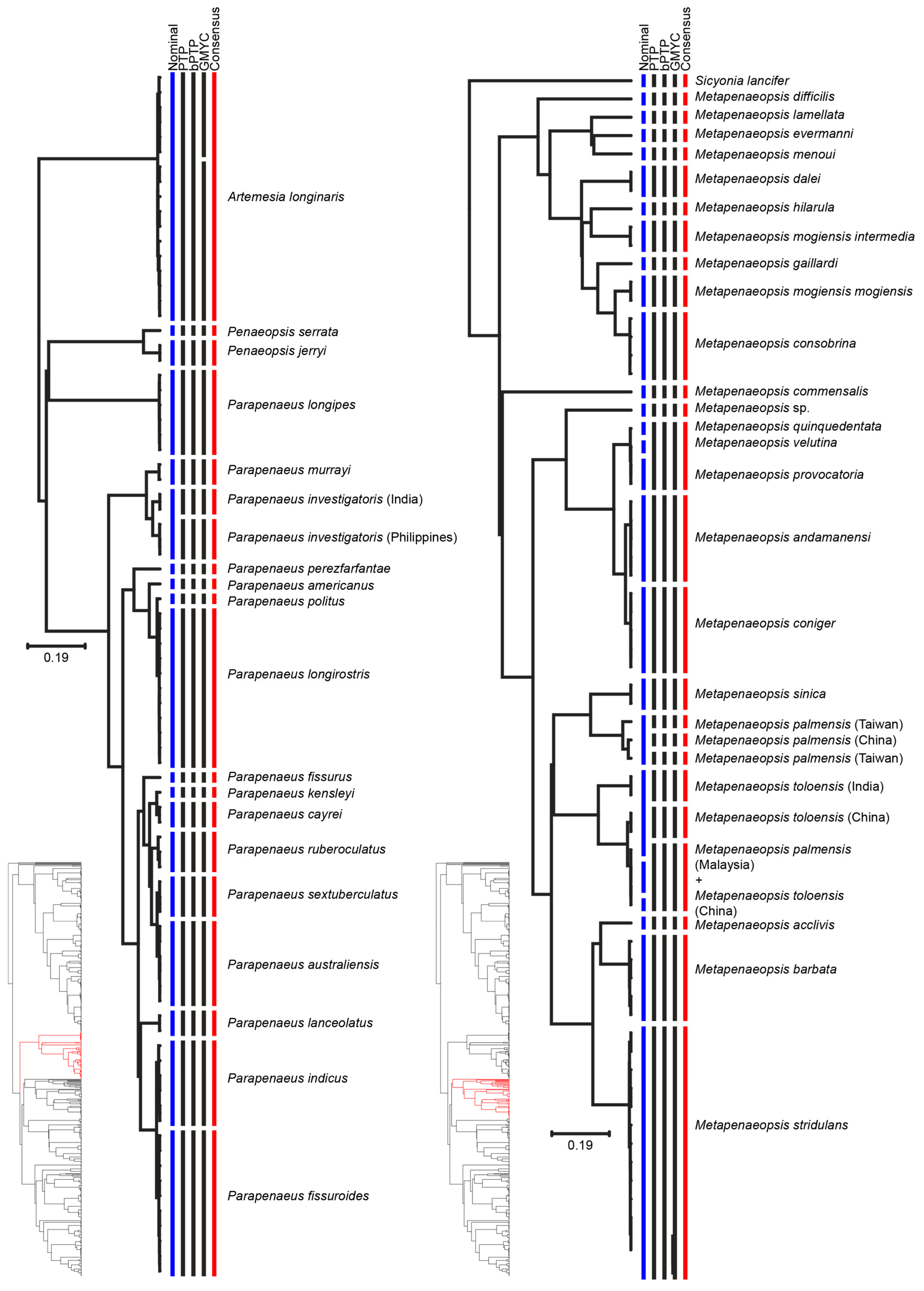 Diversity 13 00460 g003
