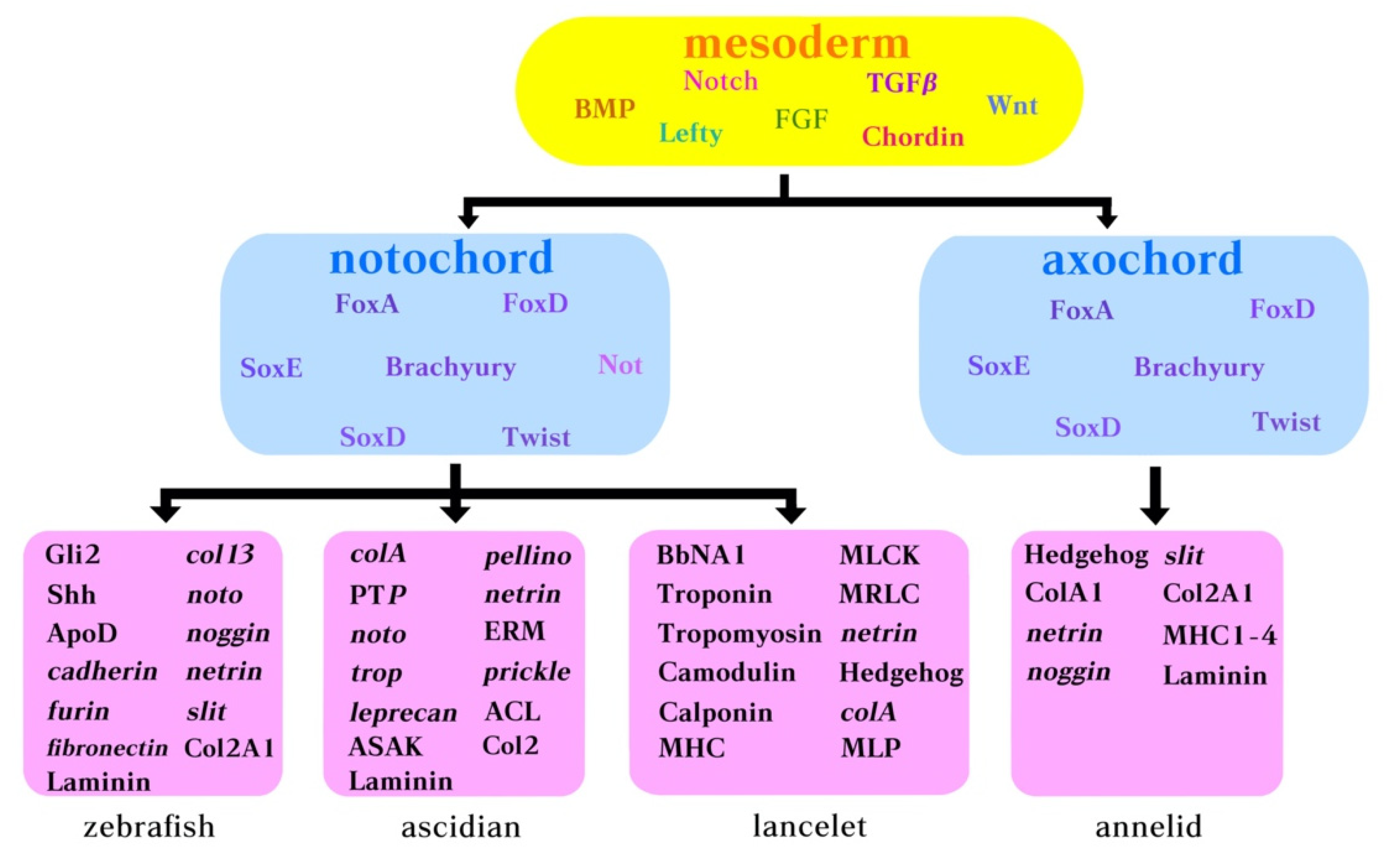 Diversity 13 00462 g003