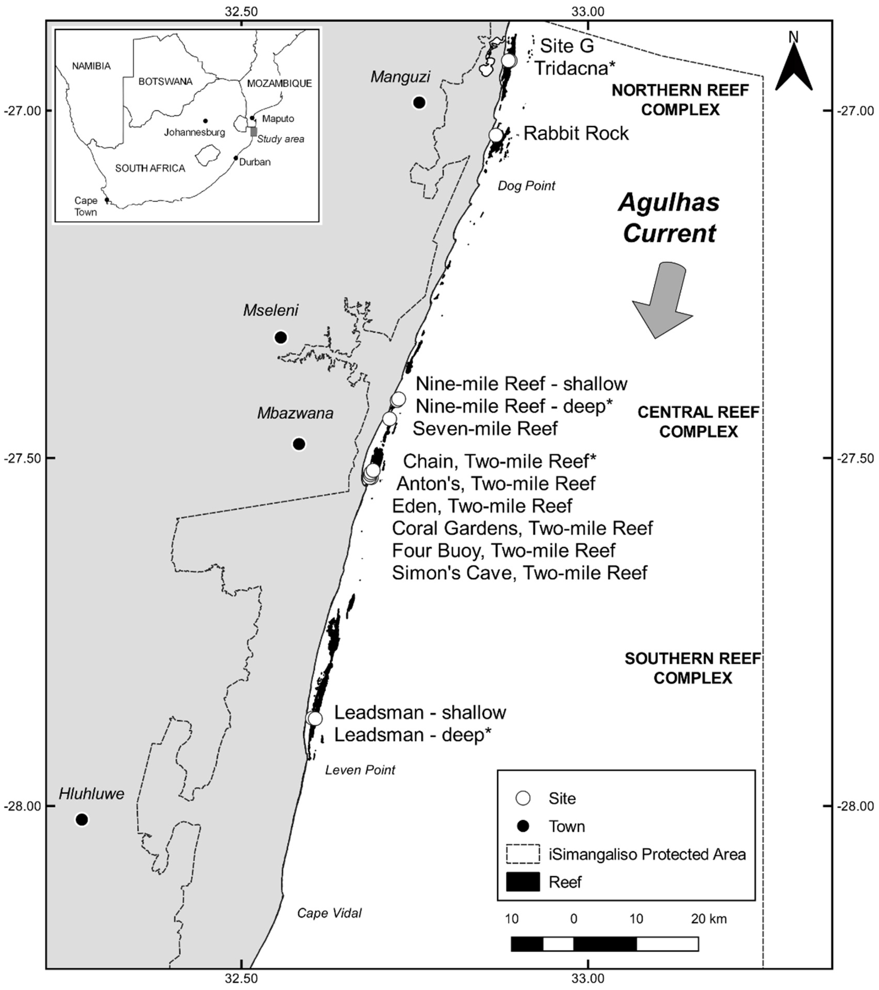 Diversity 13 00464 g001