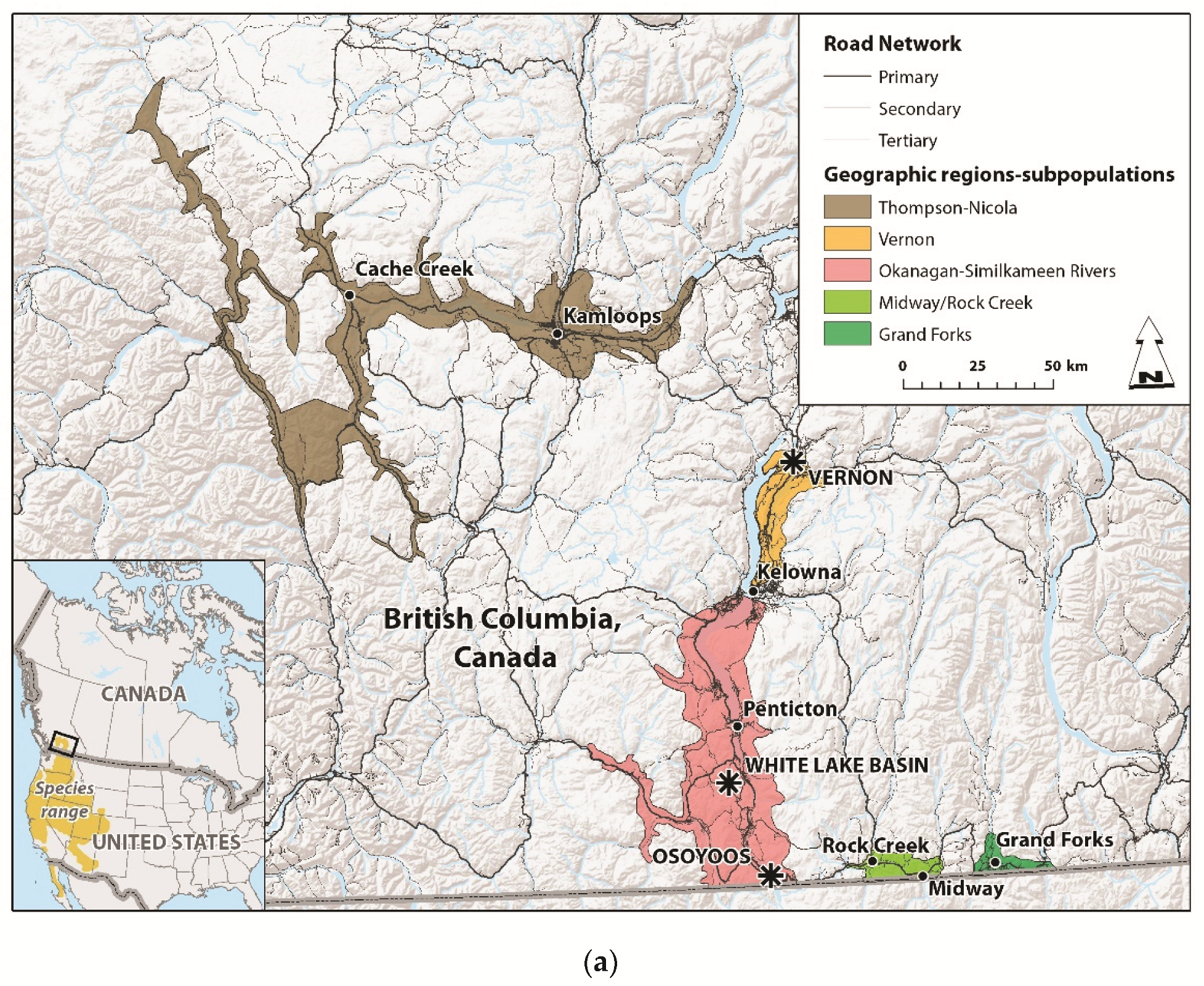 Diversity 13 00467 g001a