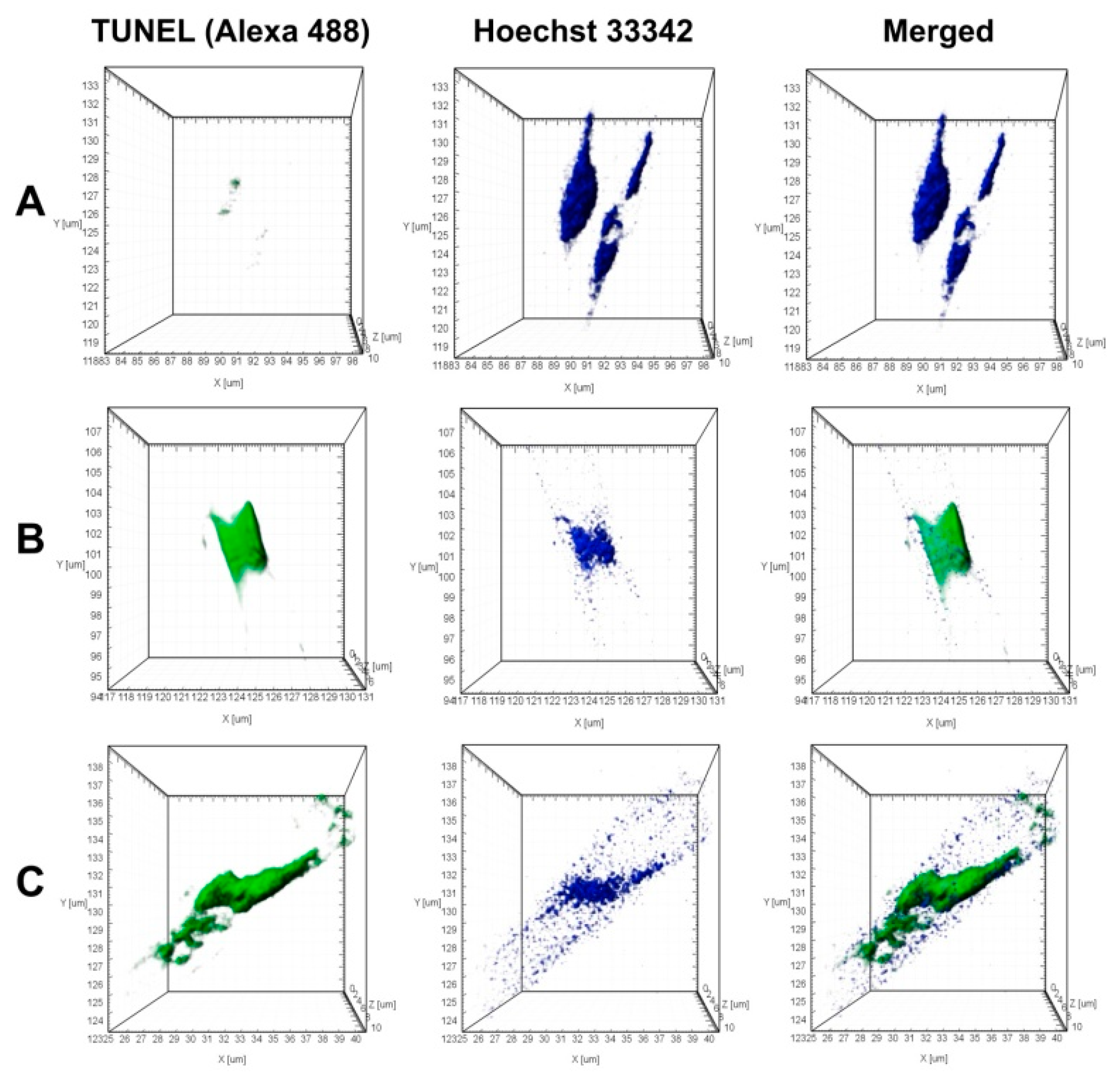 Diversity 13 00469 g007
