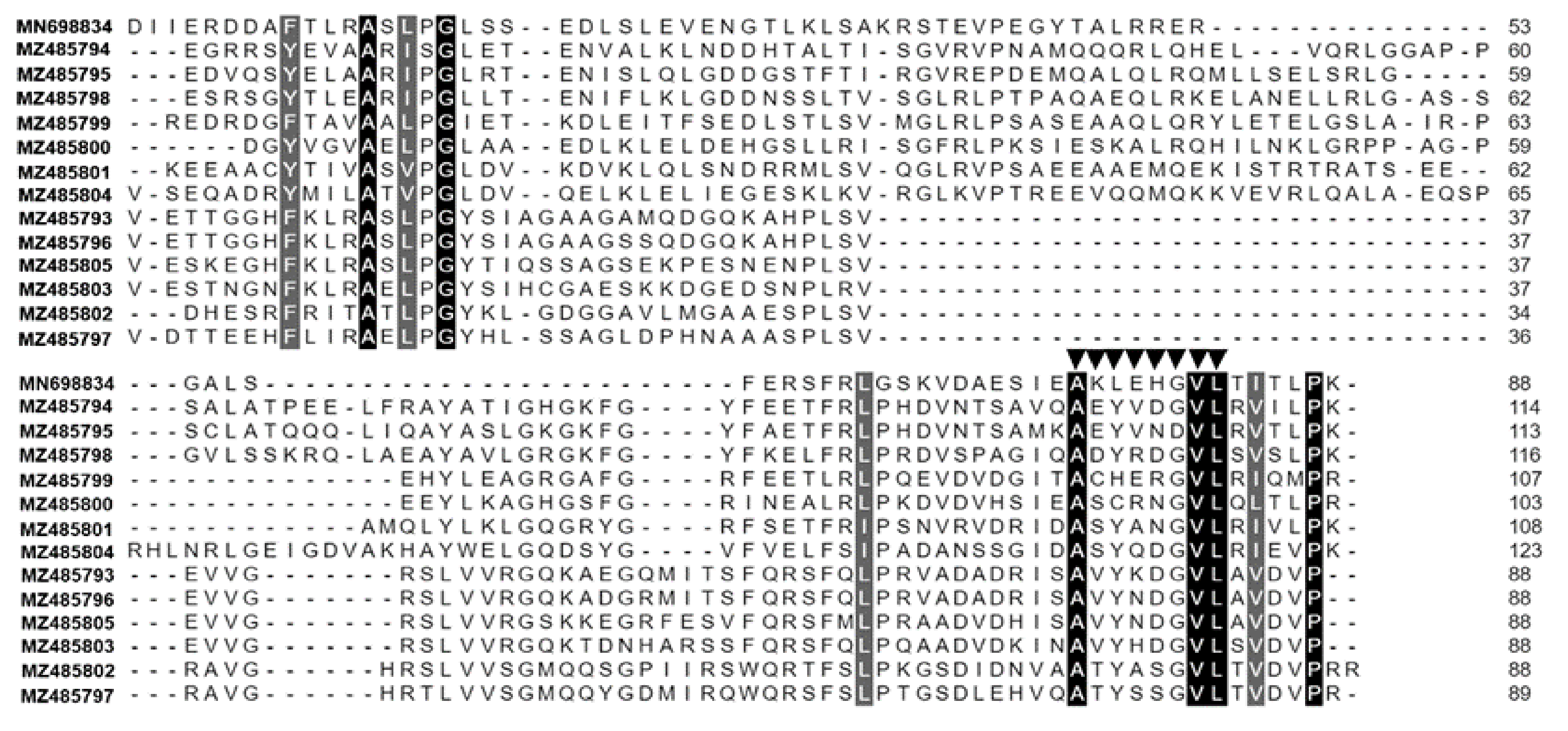 Diversity 13 00471 g001