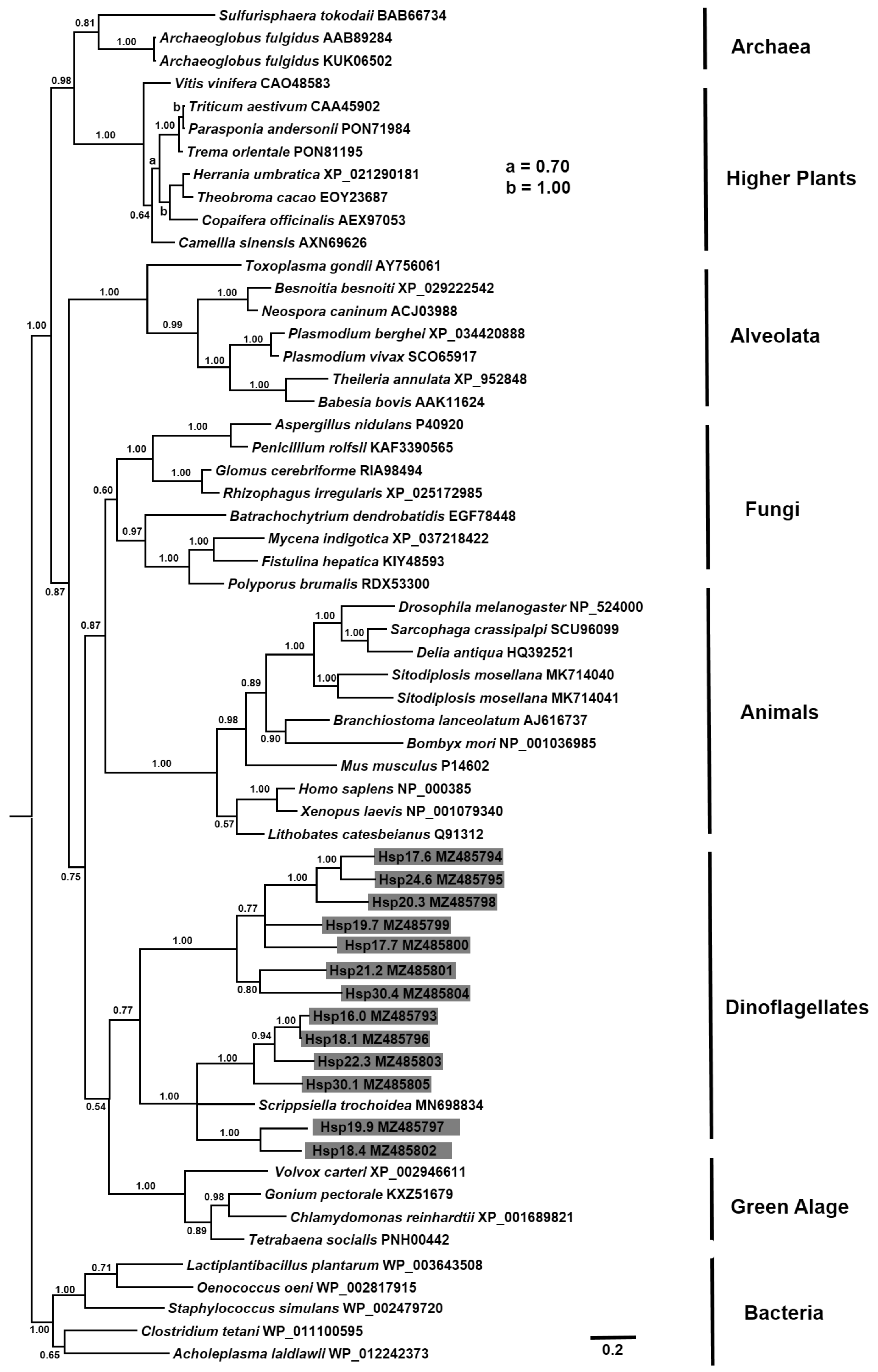 Diversity 13 00471 g002