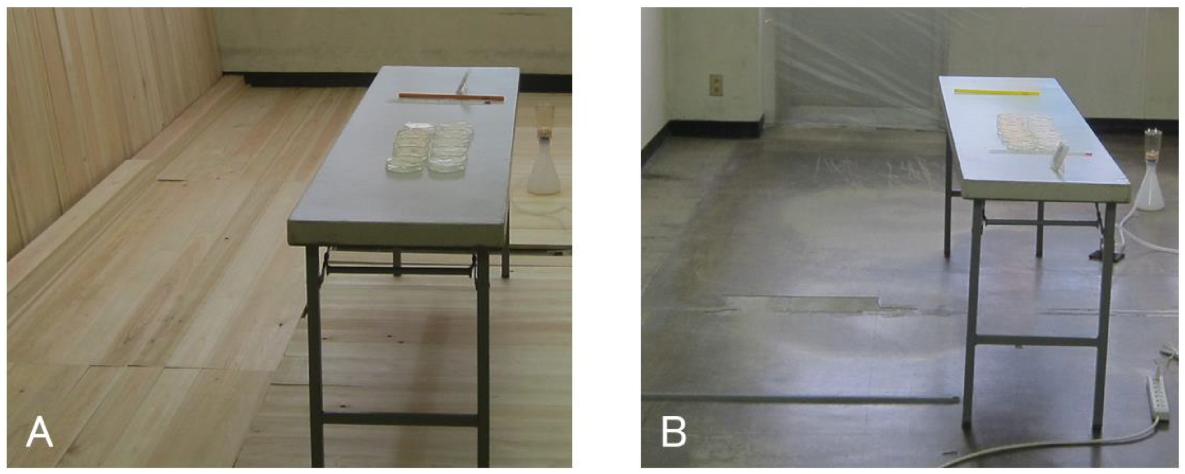 Diversity 13 00473 g001