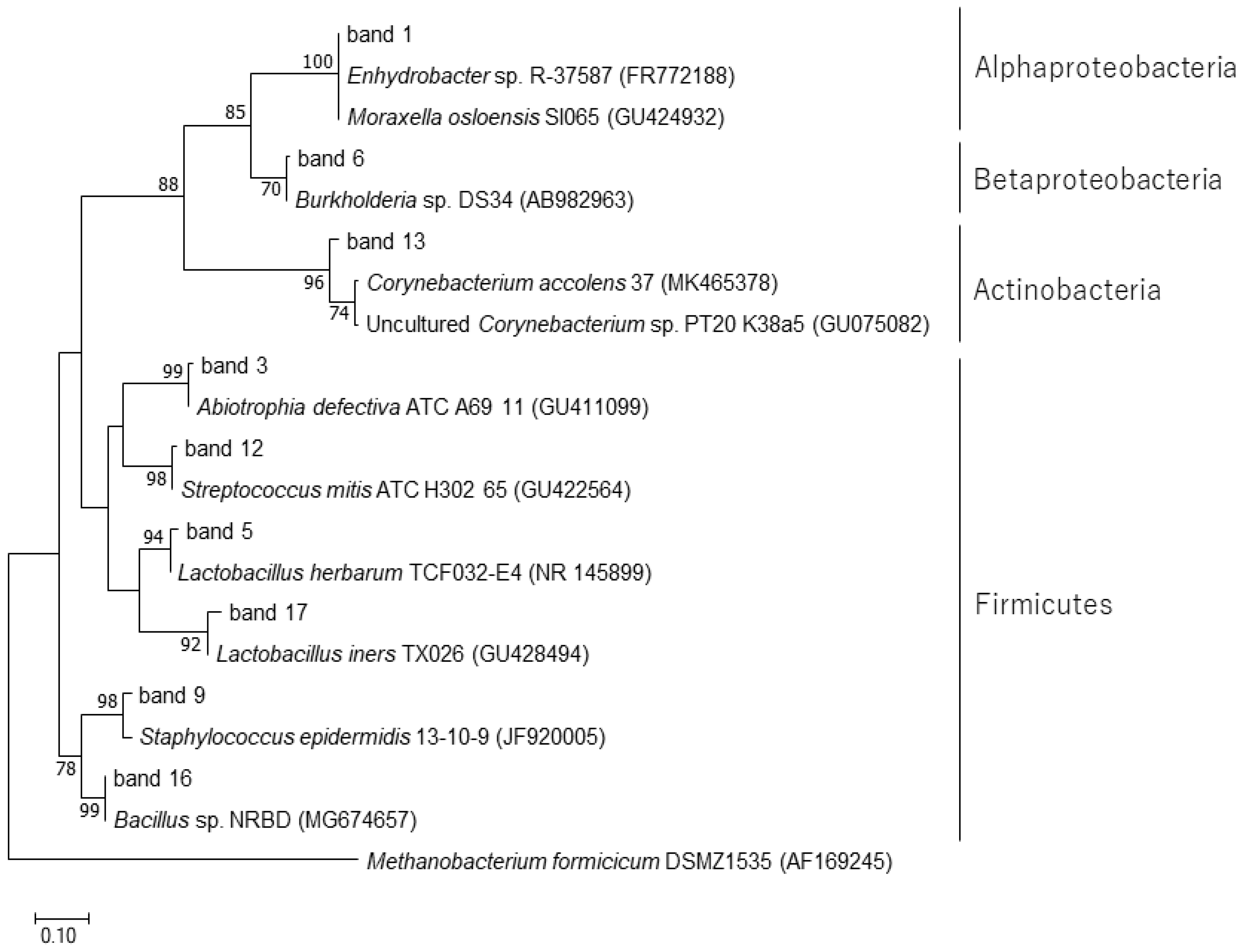 Diversity 13 00473 g005