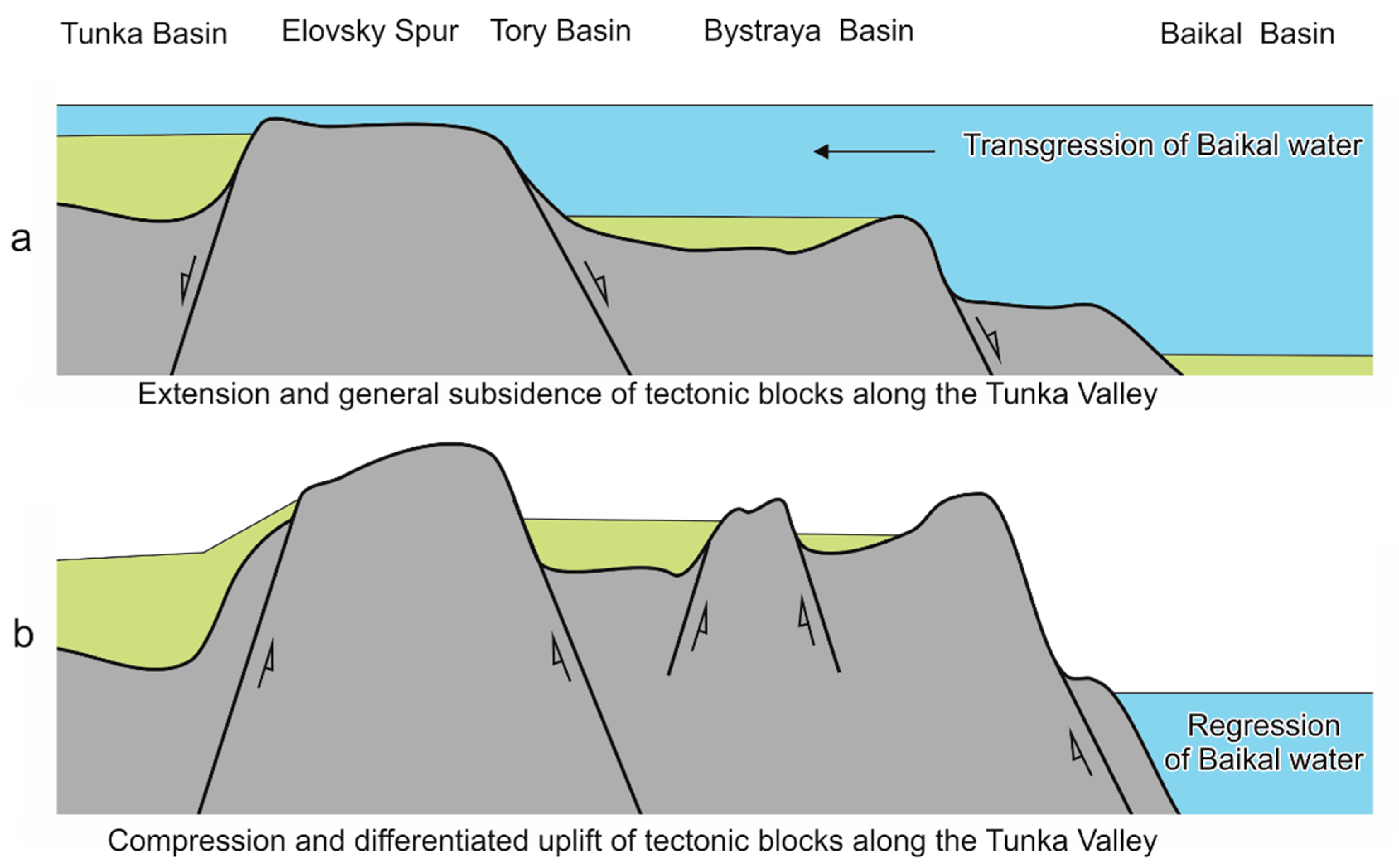 Diversity 13 00479 g002