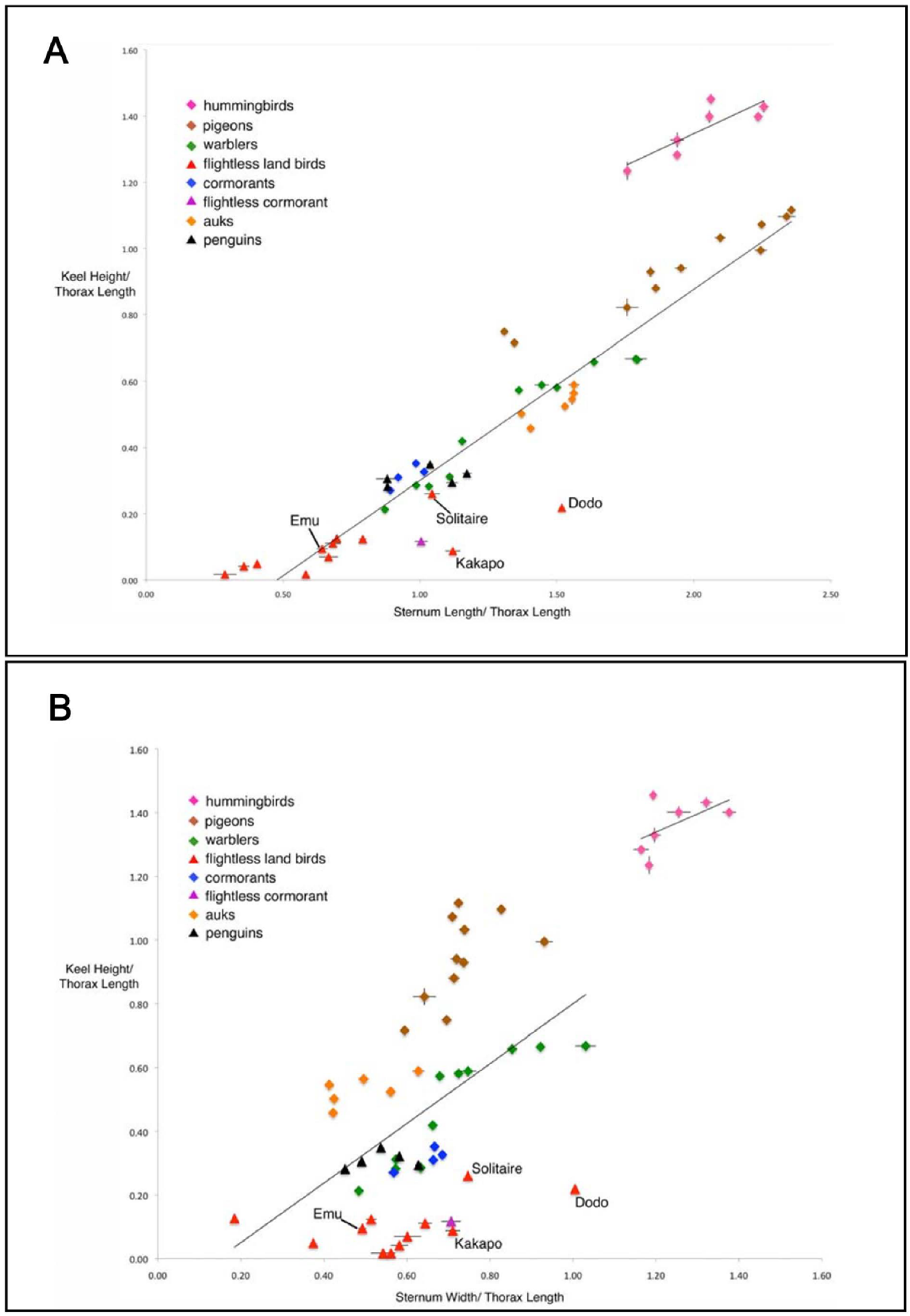 Diversity 13 00481 g003