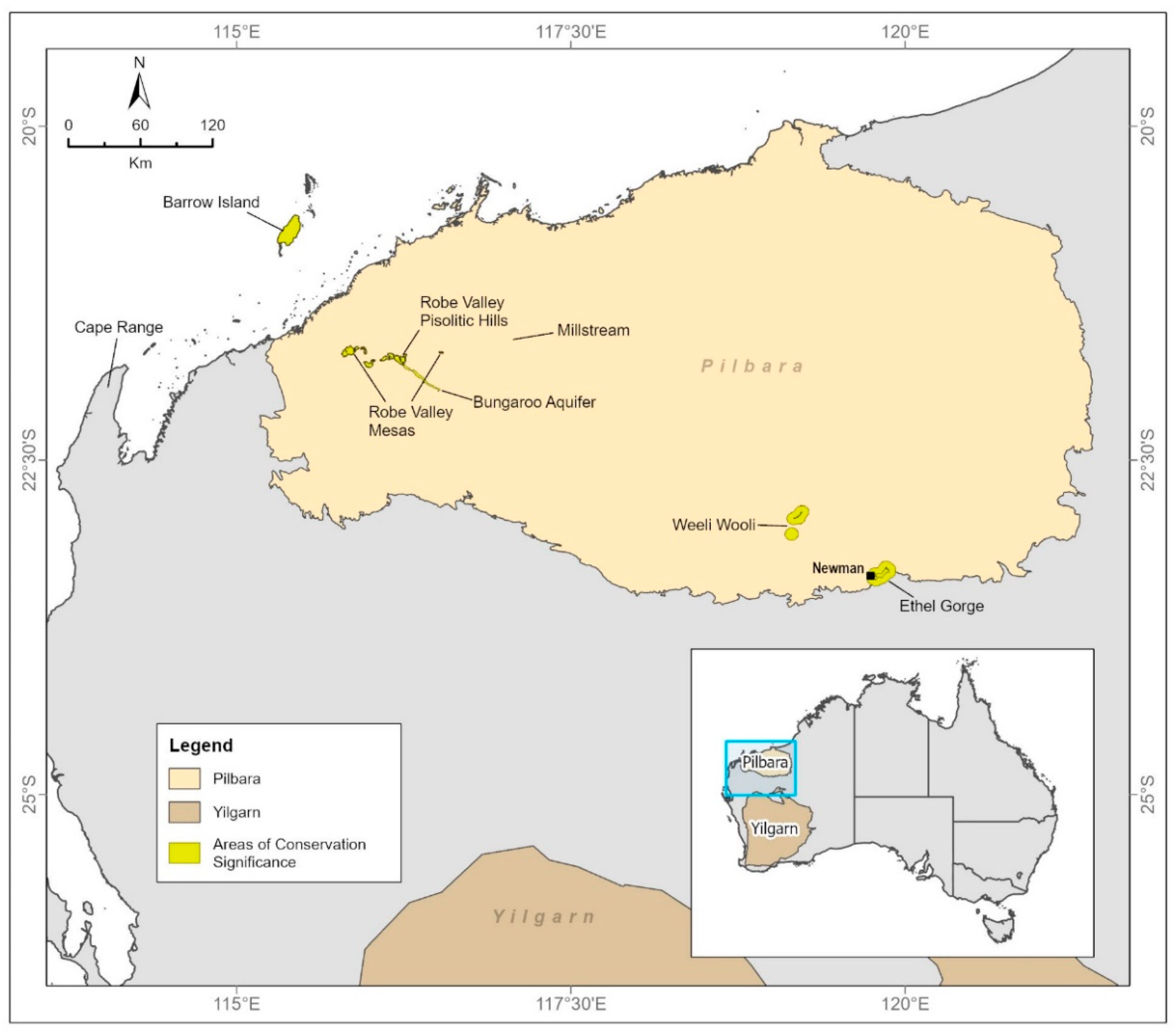 Diversity 13 00482 g001