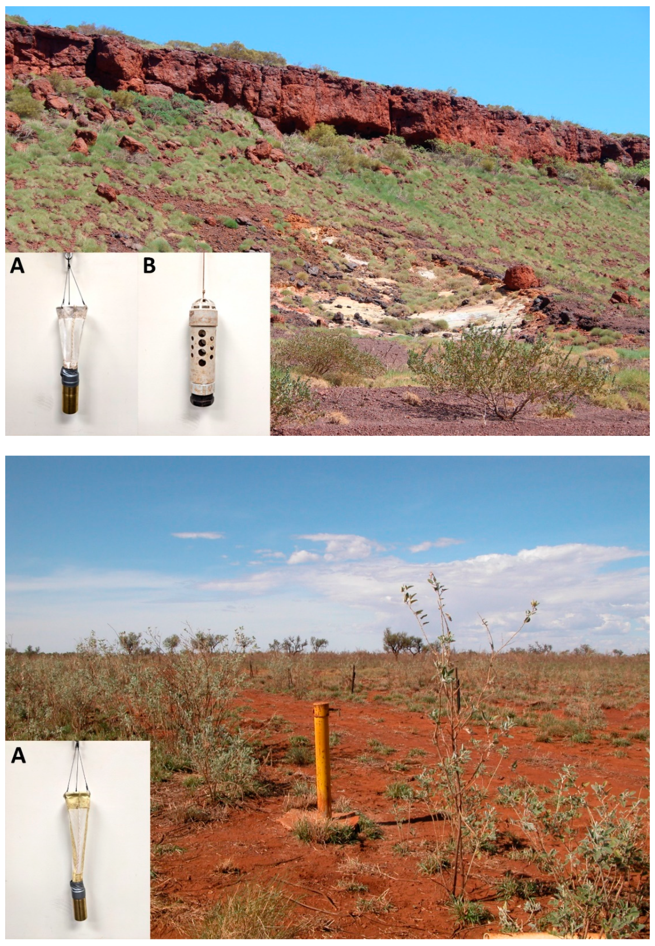 Diversity 13 00482 g003