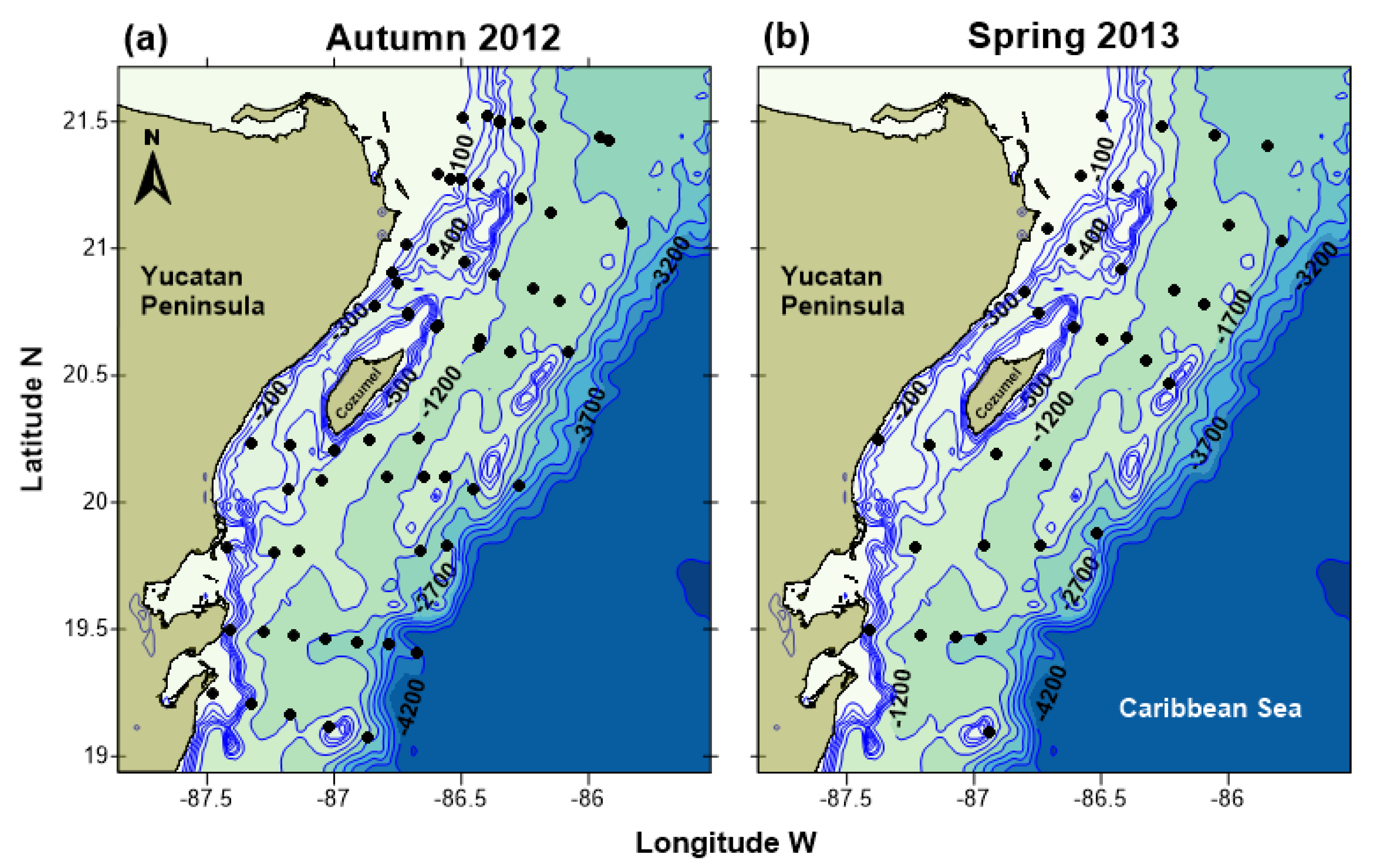 Diversity 13 00485 g001