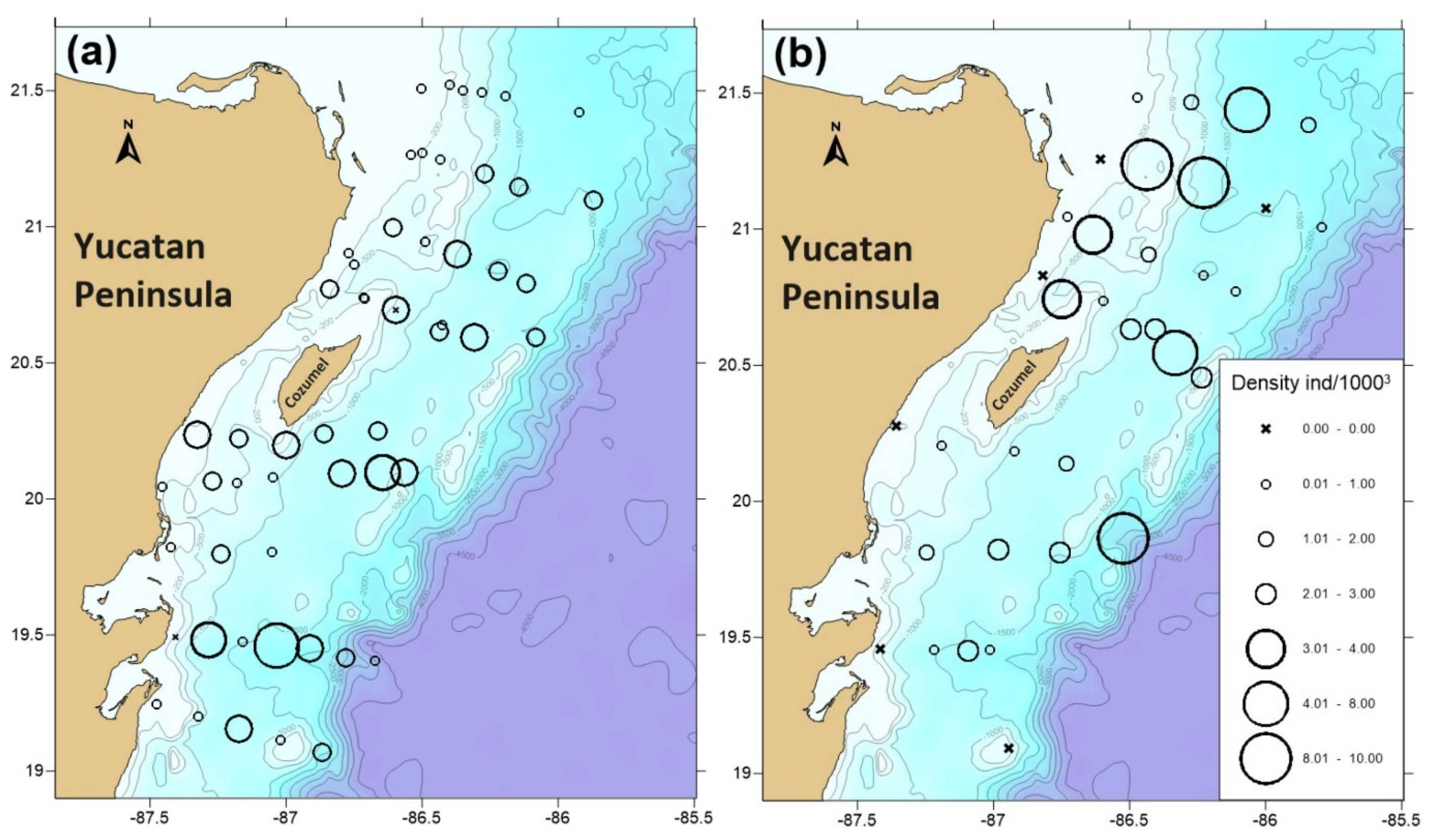 Diversity 13 00485 g004