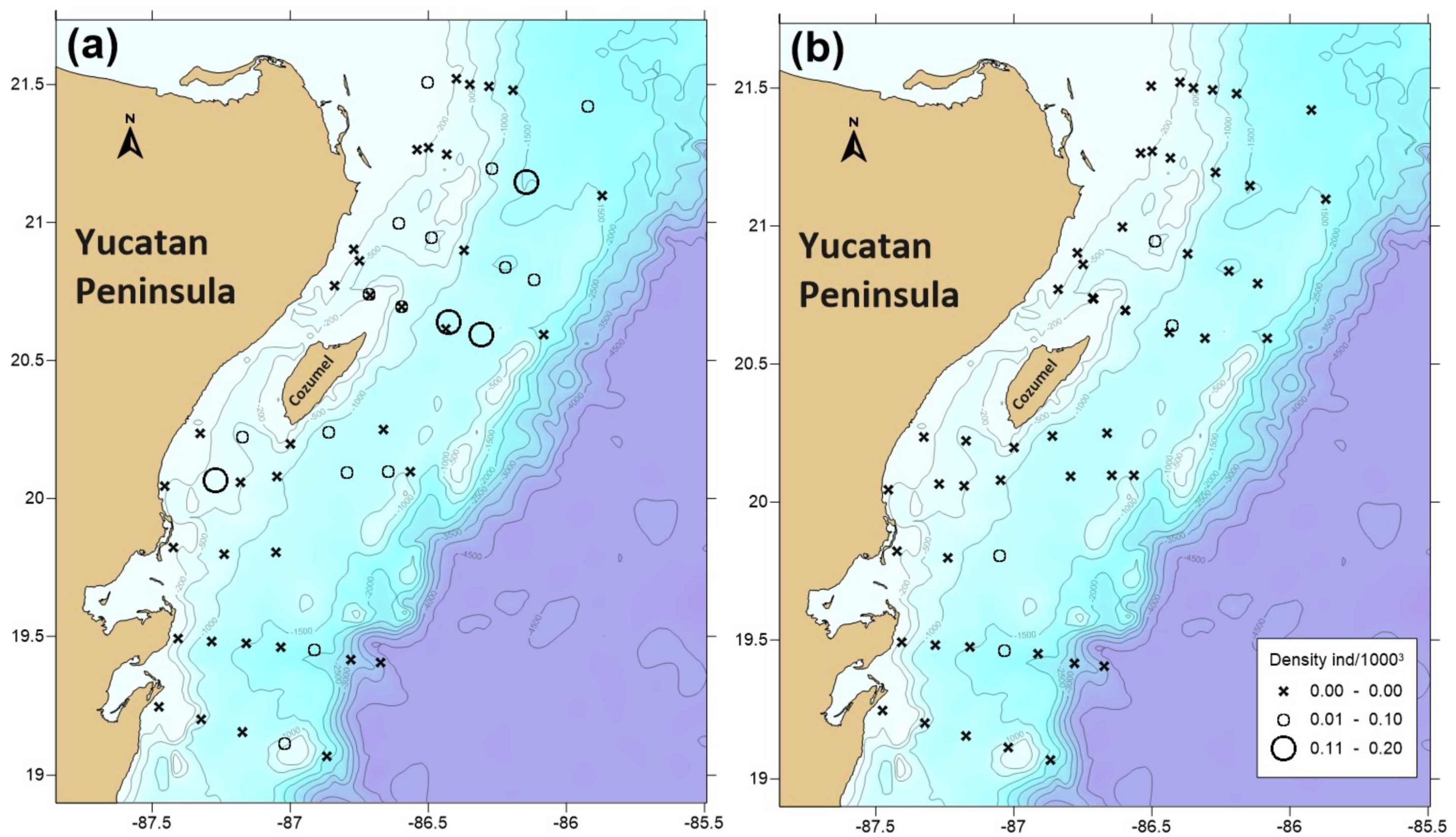 Diversity 13 00485 g010
