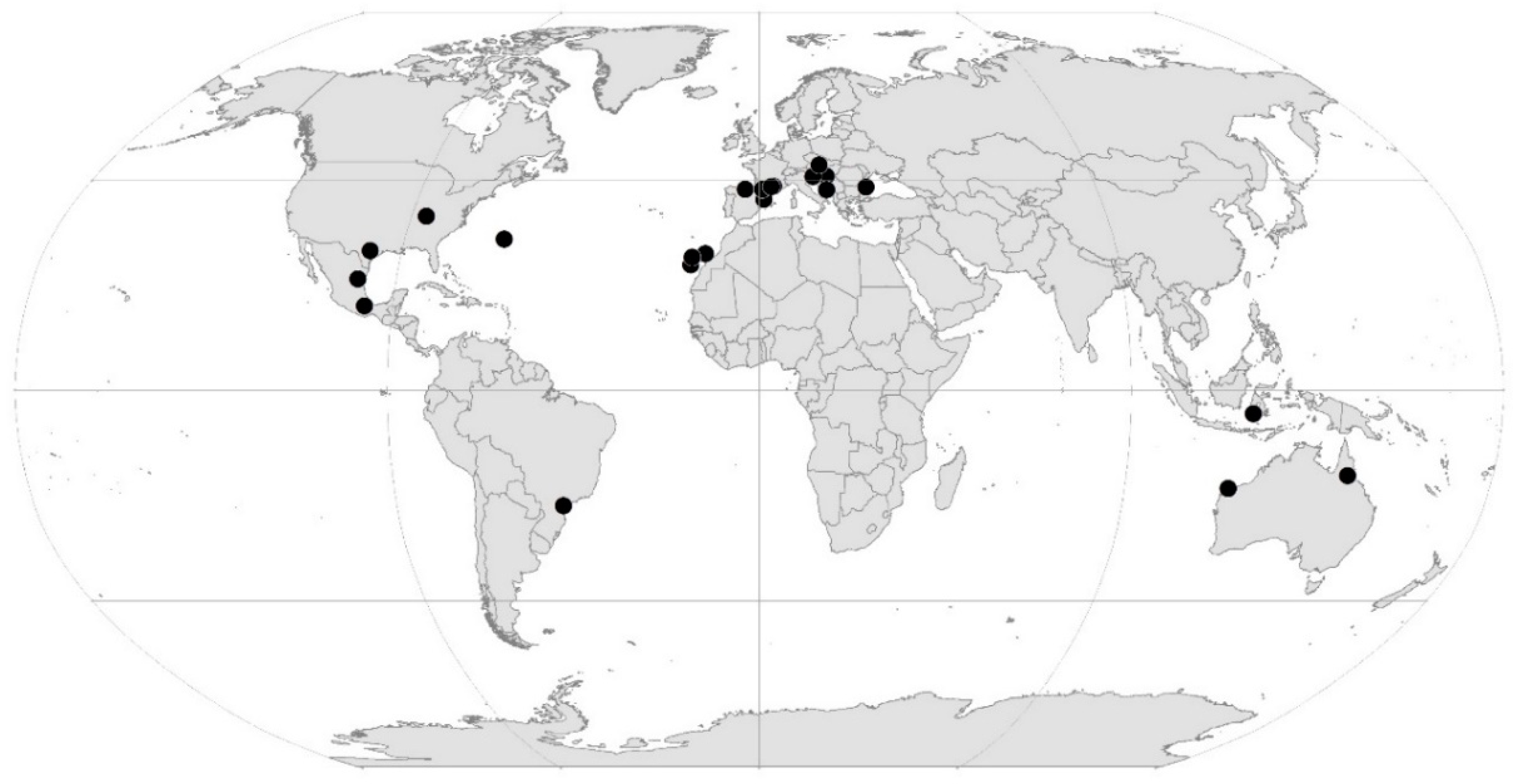 Diversity 13 00487 g001