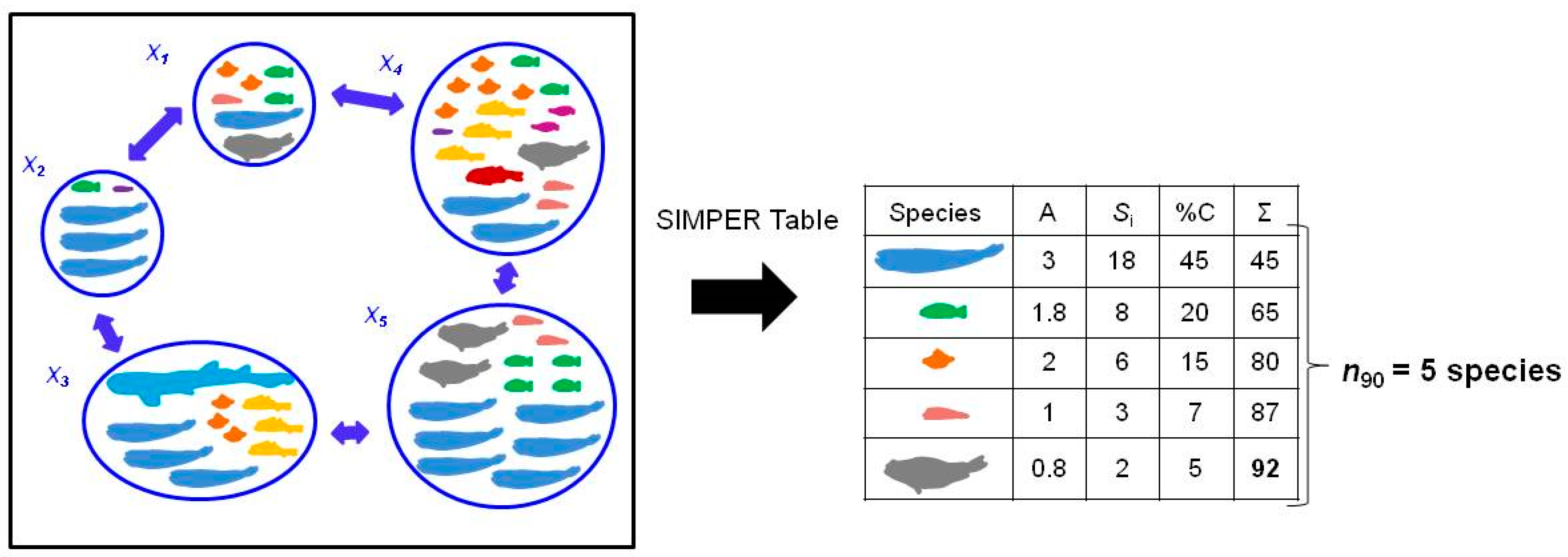 Diversity 13 00489 g001