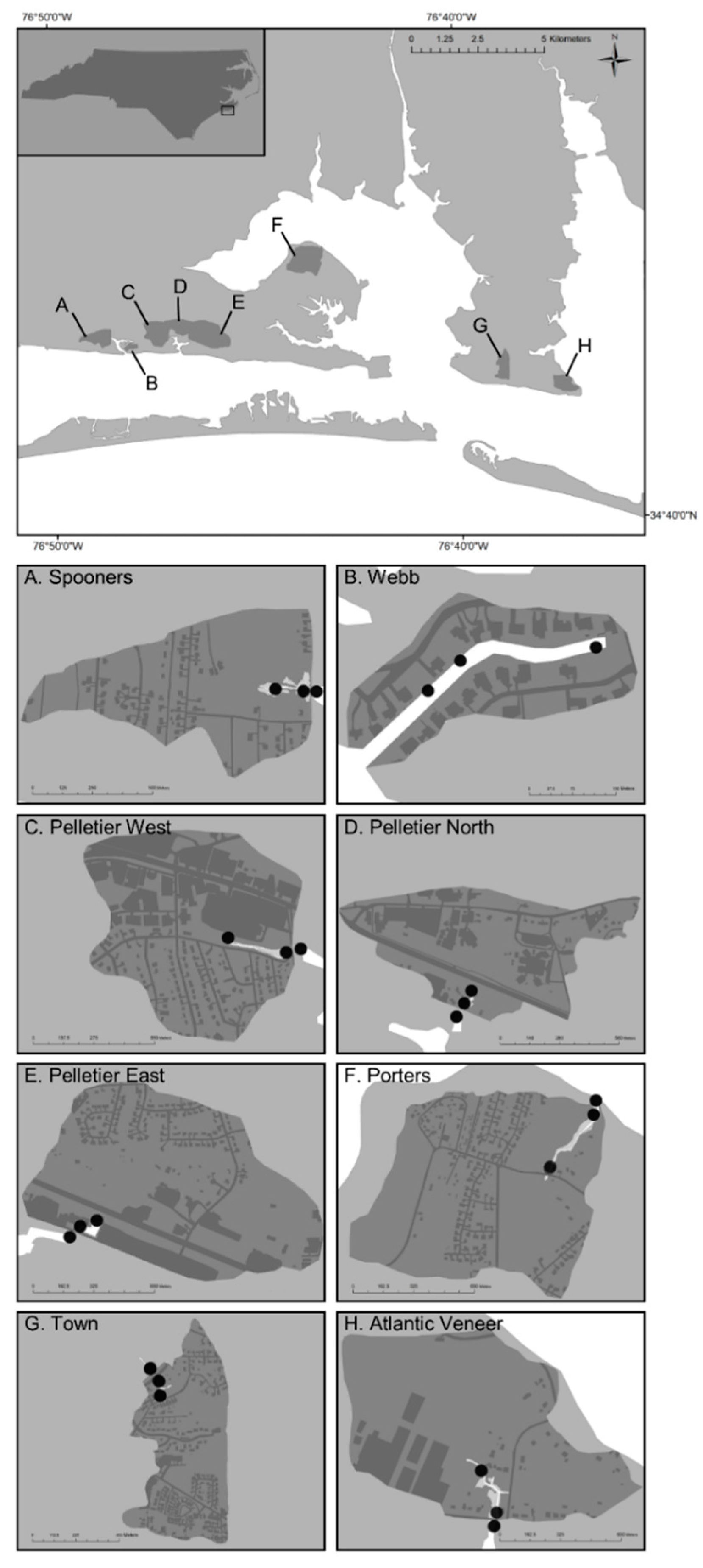 Diversity 13 00491 g001
