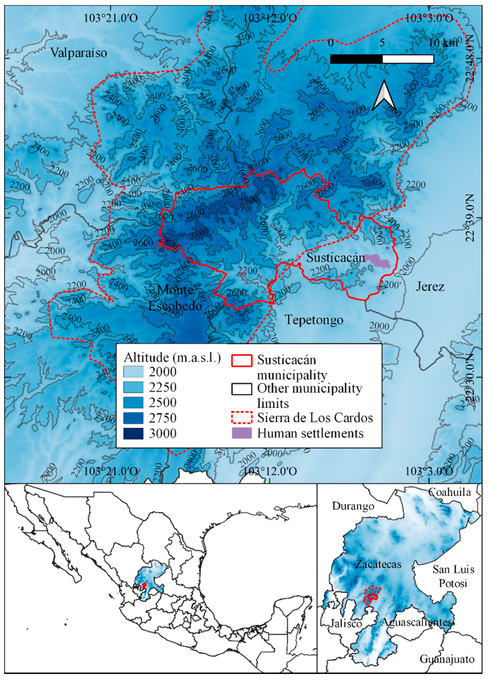 Diversity 13 00492 g001