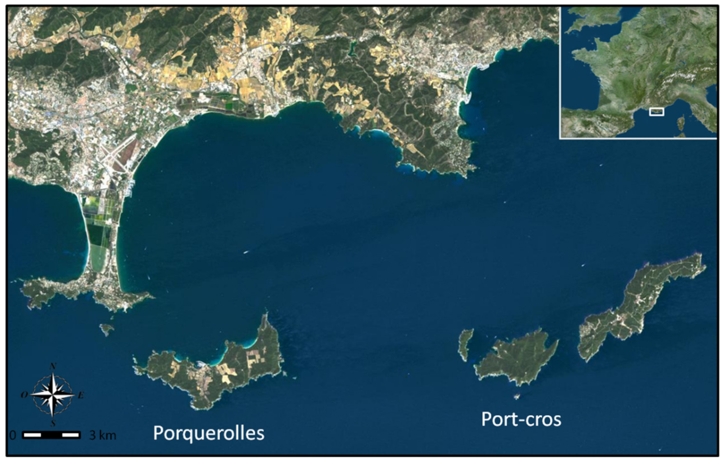 Diversity 13 00498 g001 Diversity 13 00498 g001