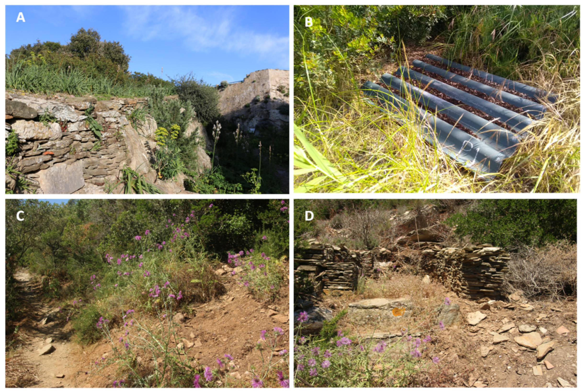 Diversity 13 00498 g002 Diversity 13 00498 g002