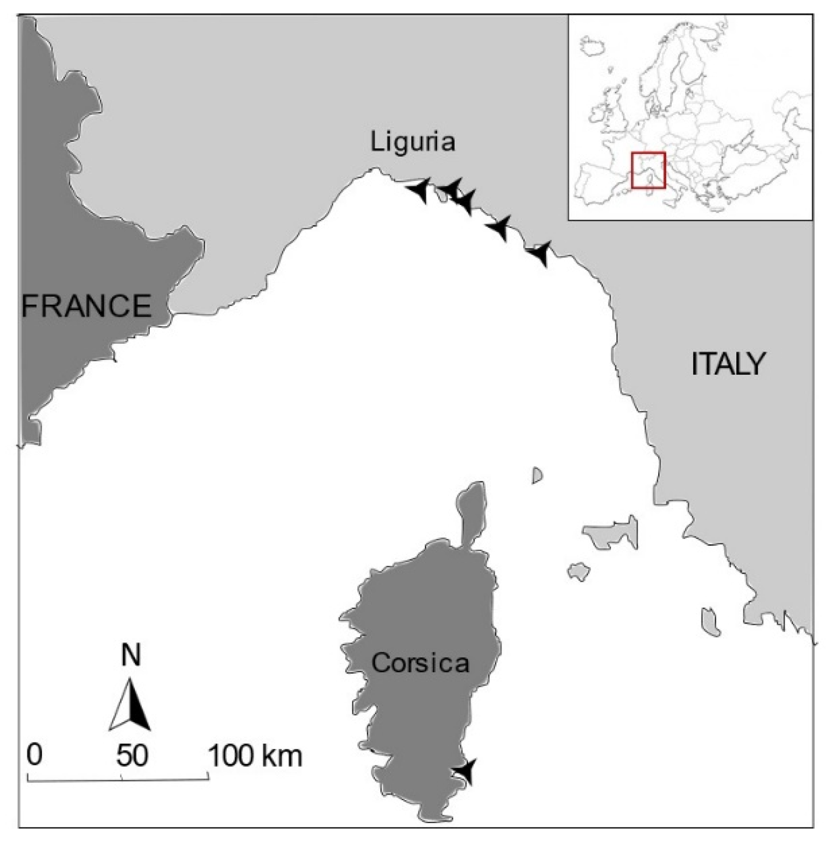 Diversity 13 00499 g001