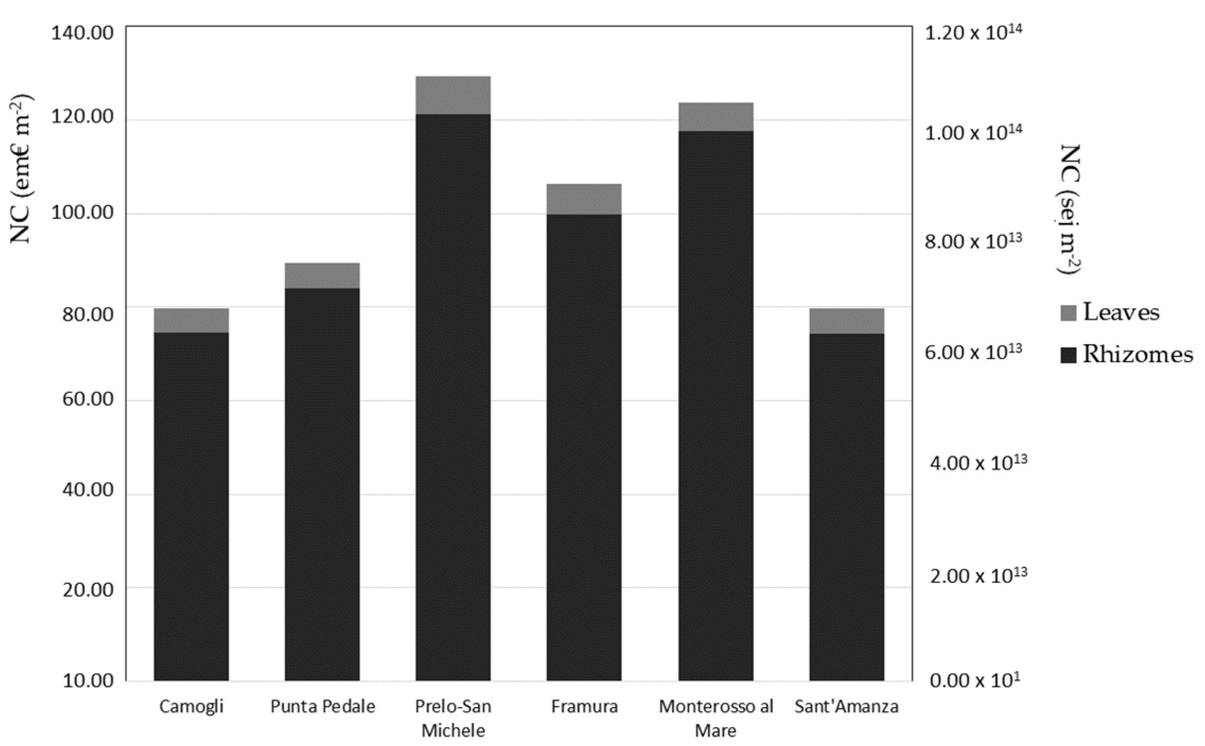 Diversity 13 00499 g002