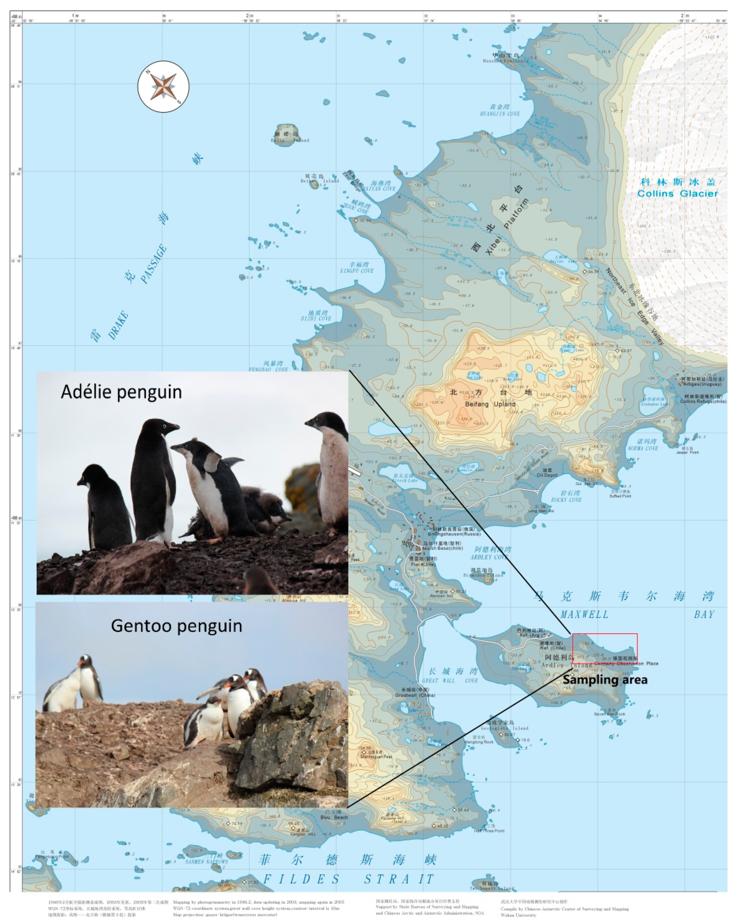 Diversity 13 00500 g001