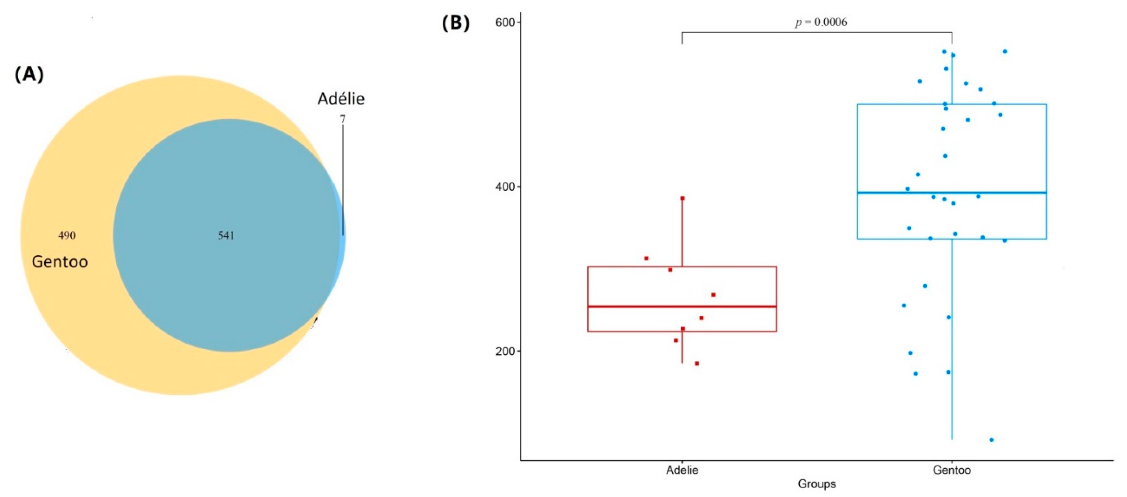 Diversity 13 00500 g002