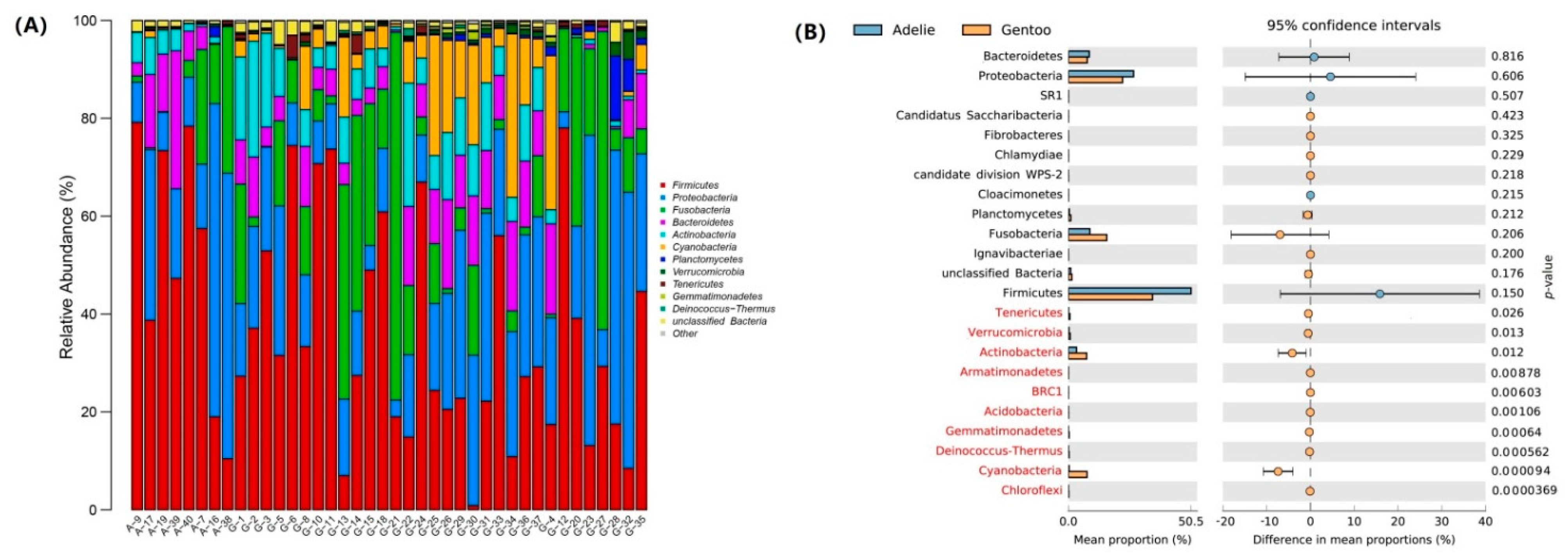 Diversity 13 00500 g003