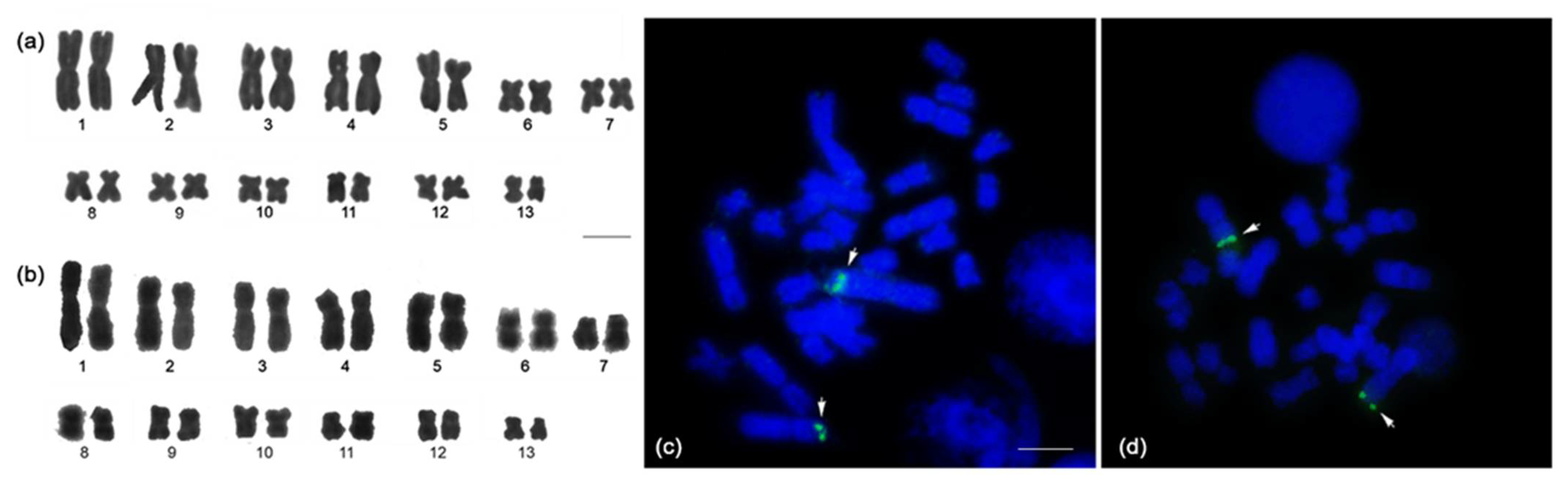 Diversity 13 00501 g002