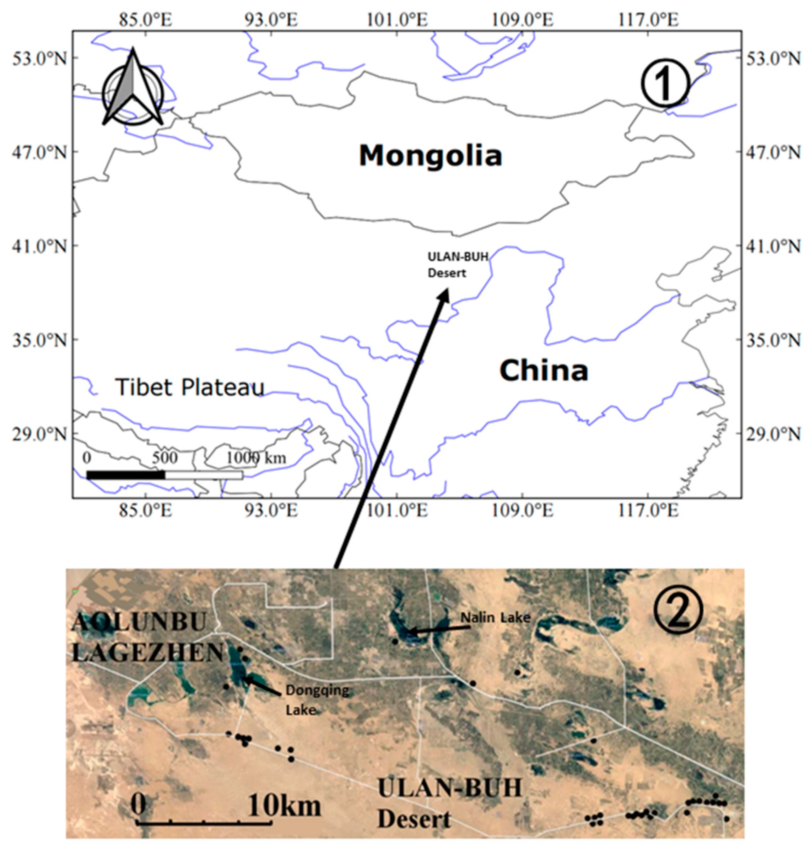 Diversity 13 00502 g001