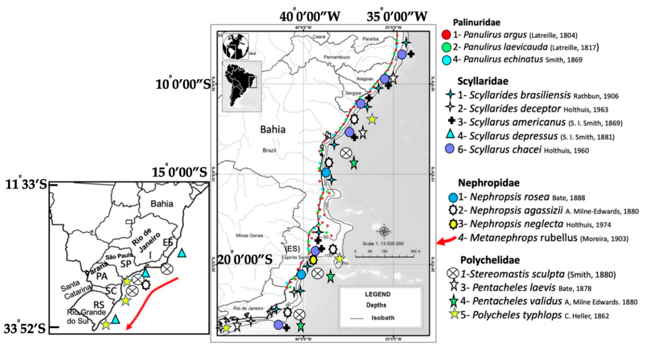 Diversity 13 00507 g003