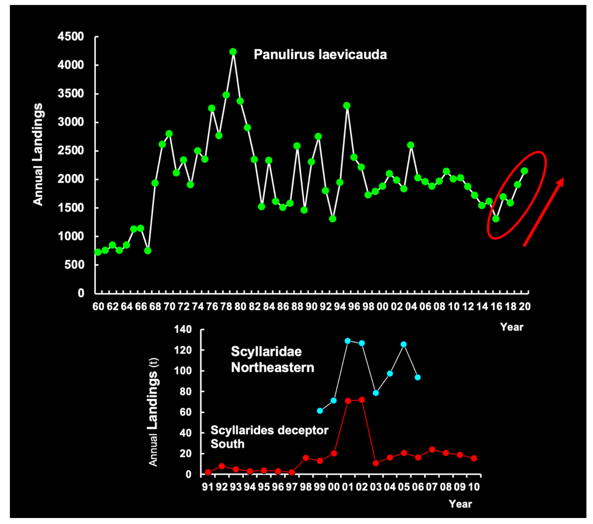 Diversity 13 00507 g010