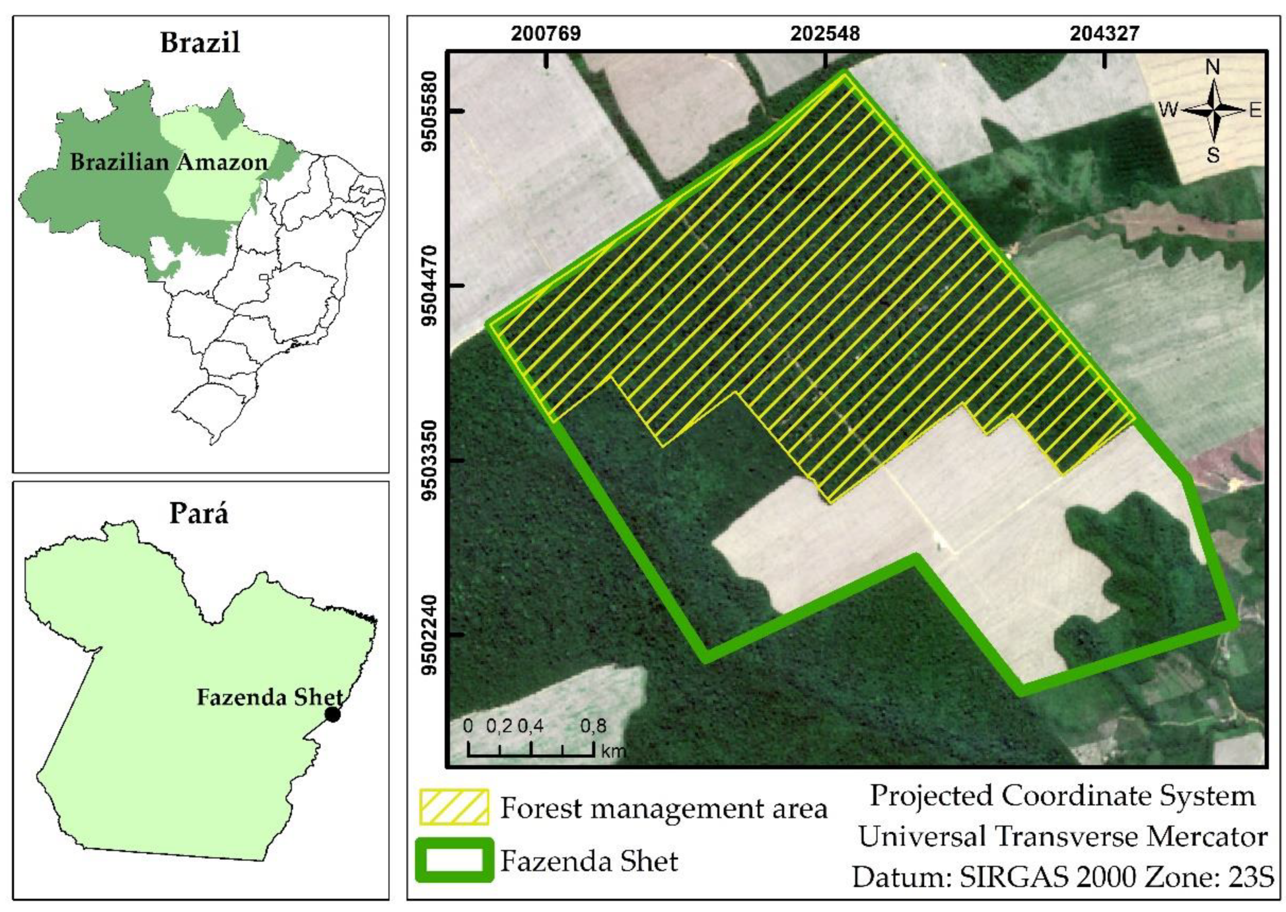 Diversity 13 00509 g001