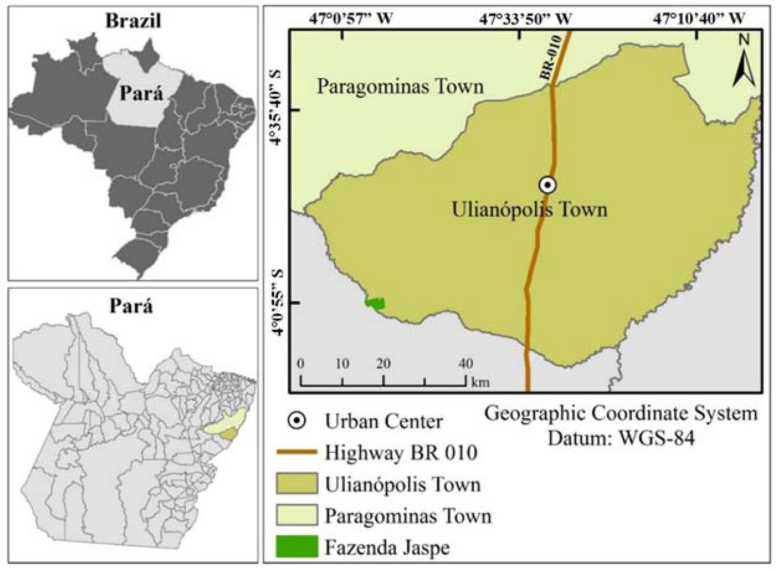 Diversity 13 00511 g001